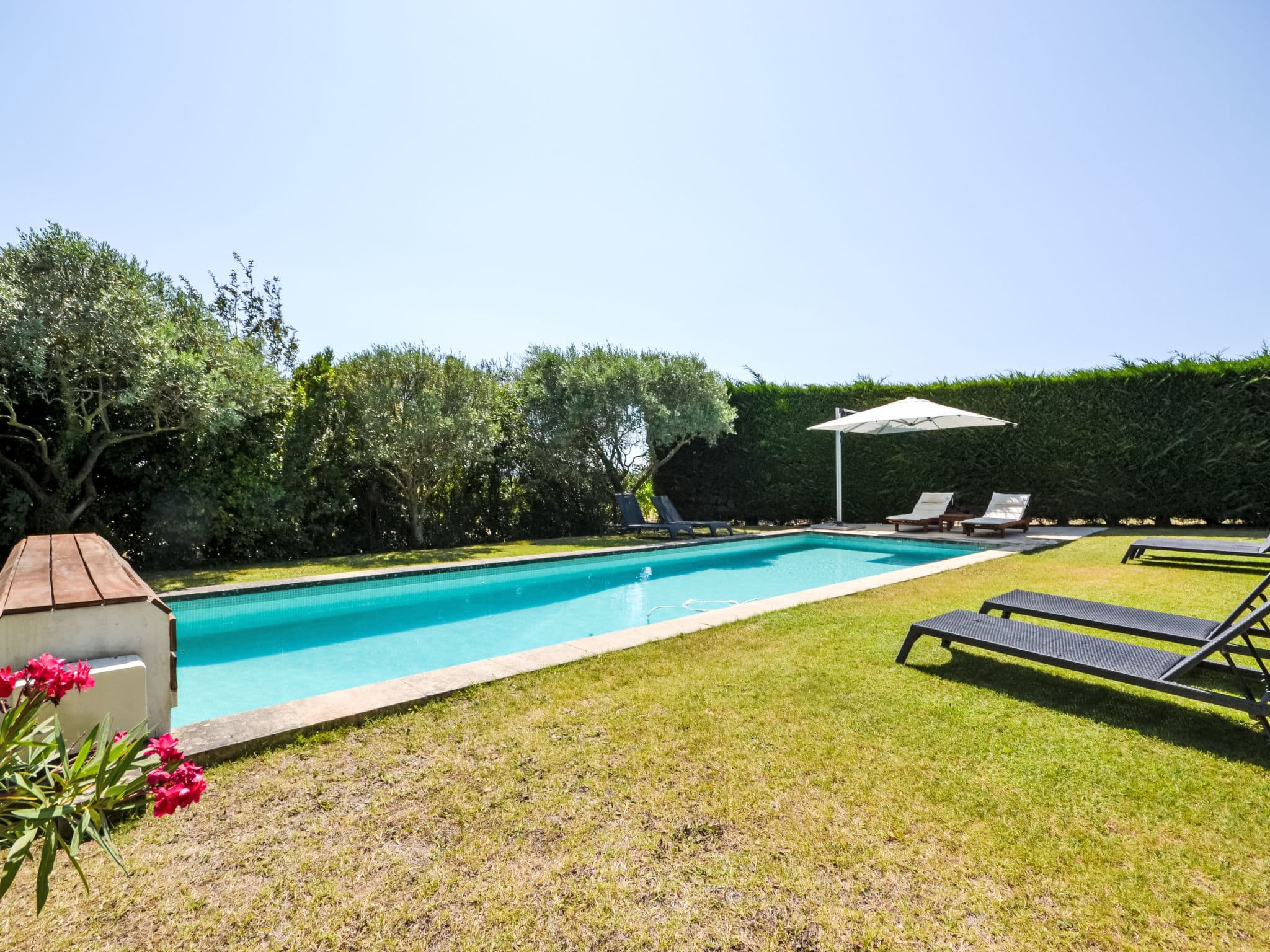 Pool Outdoor