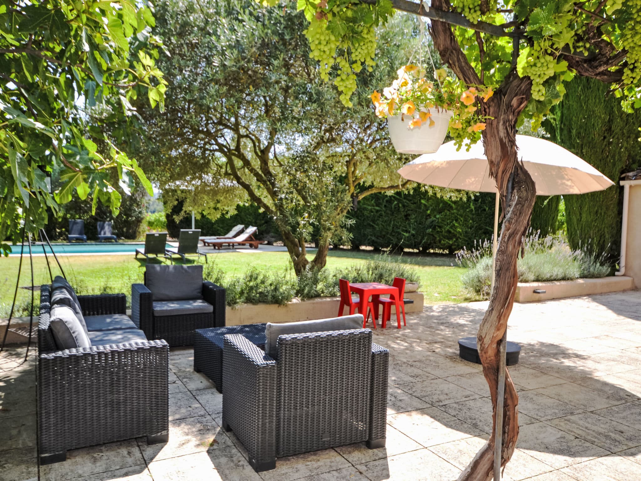 Terrace