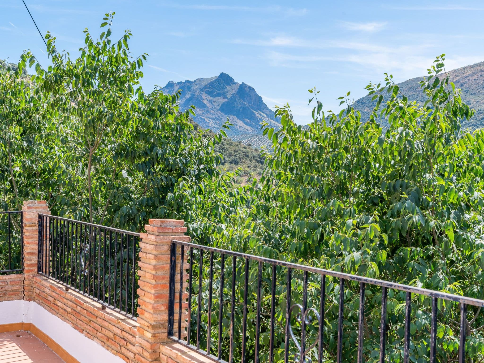 Gallery Image 68