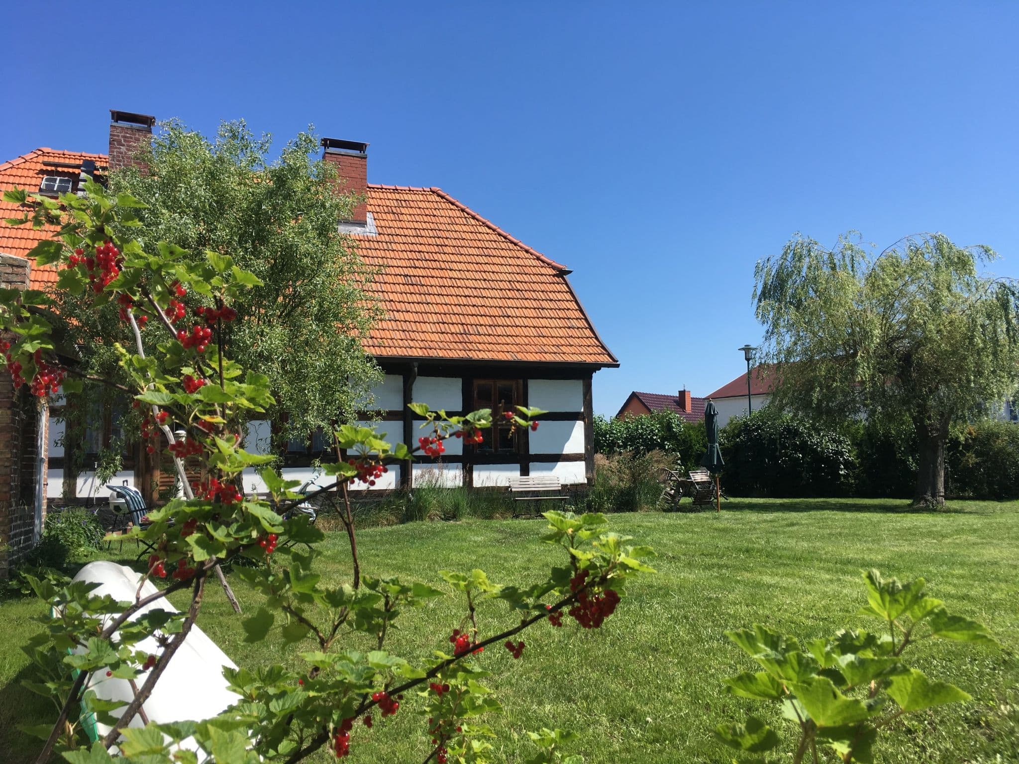 Gallery Image 25