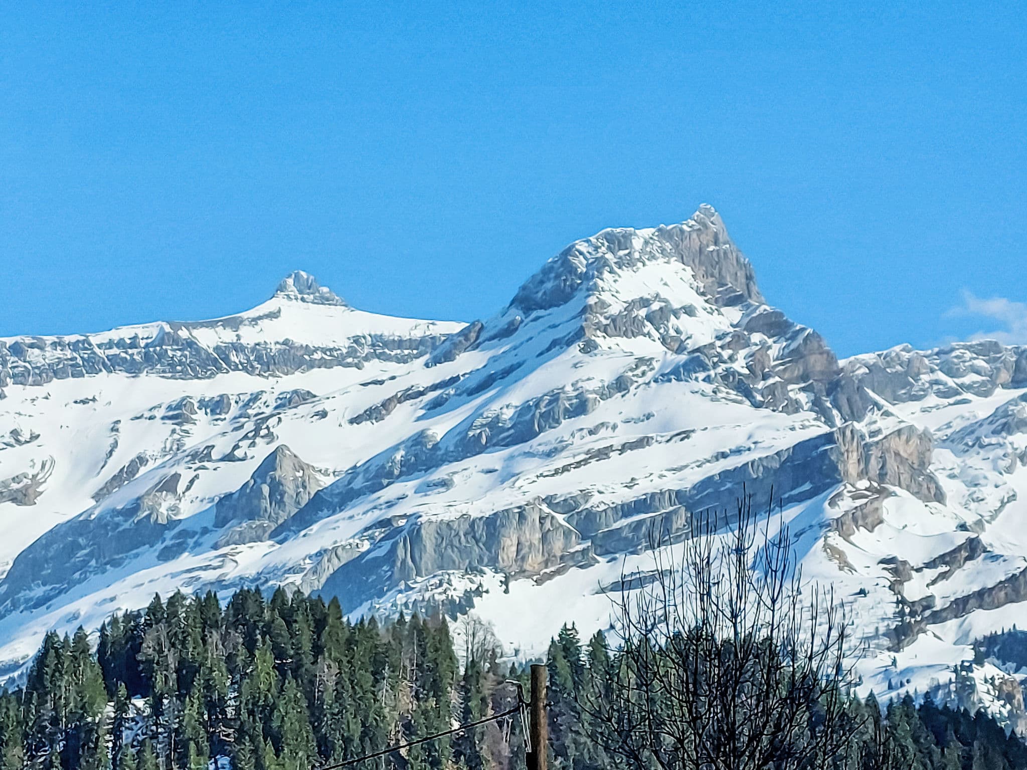 View