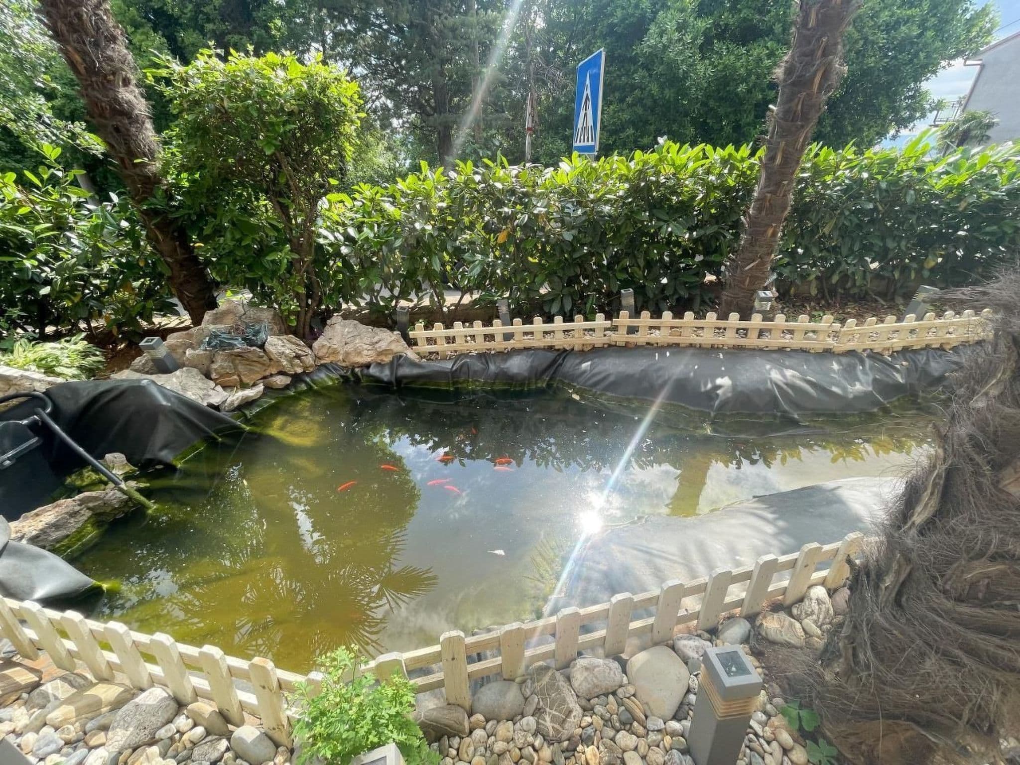 Gallery Image 32