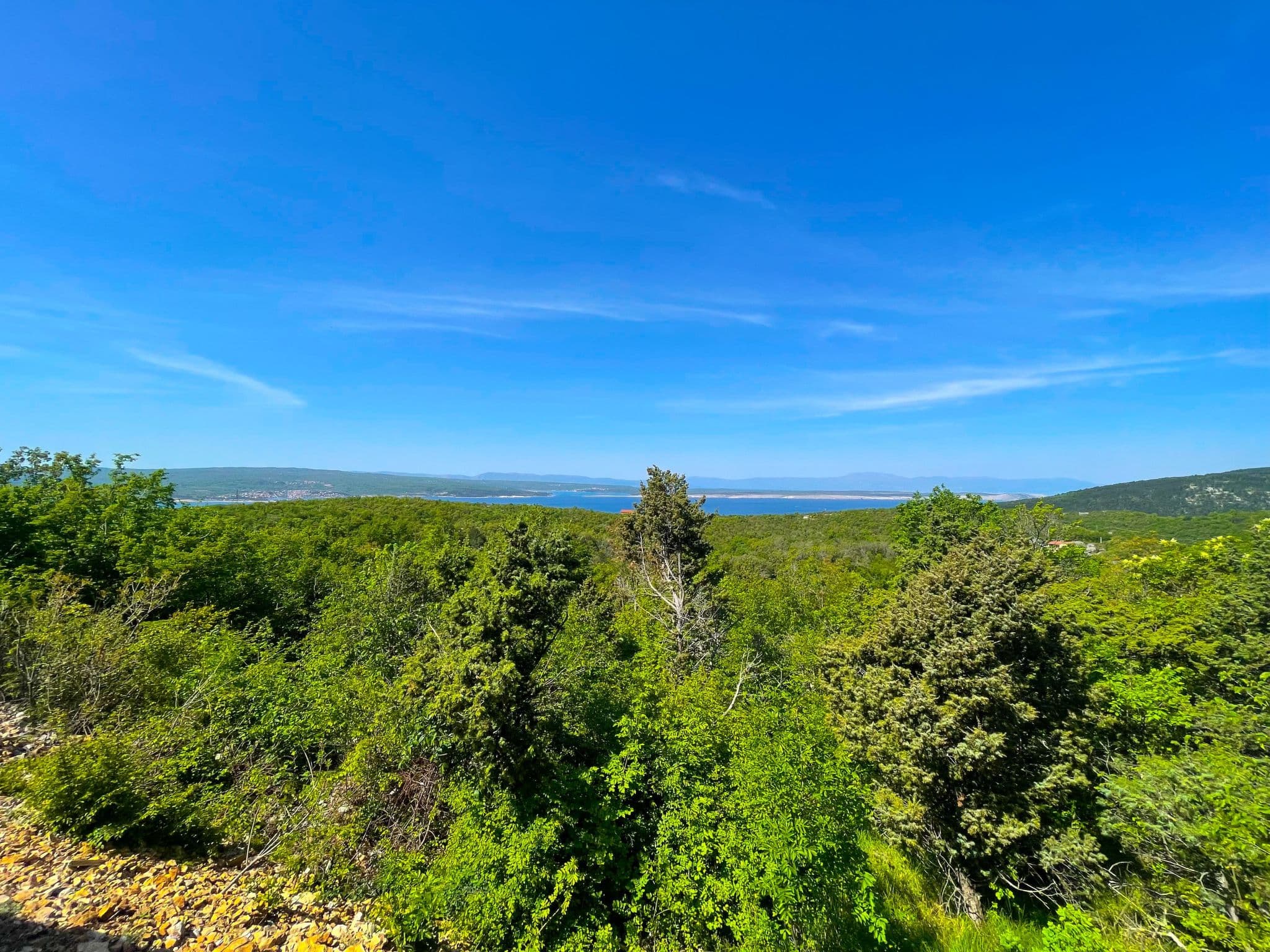 View