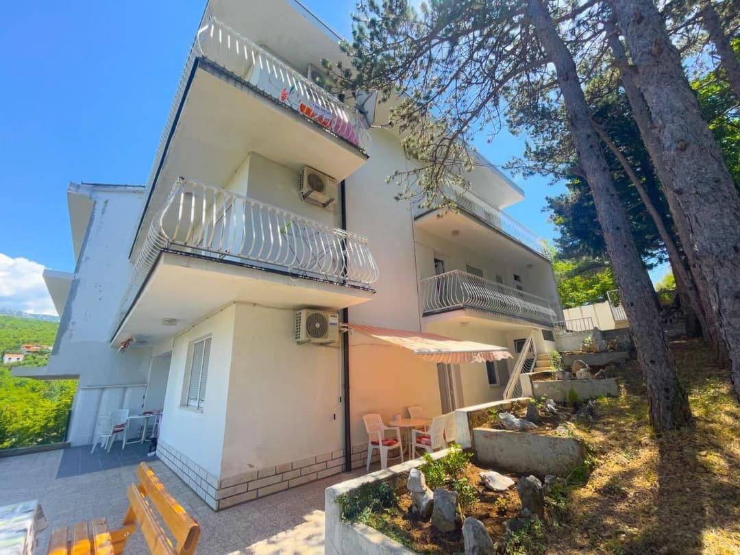 Large Image
