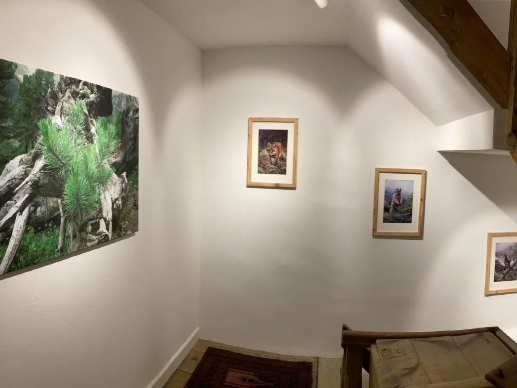 Gallery Image 20
