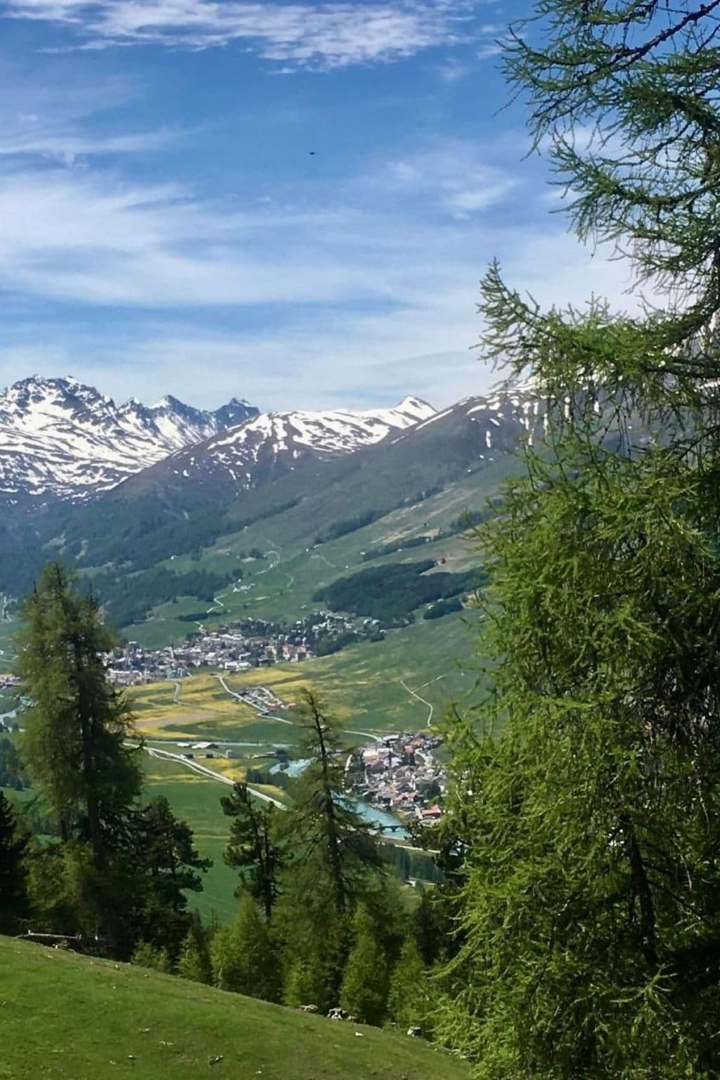 View