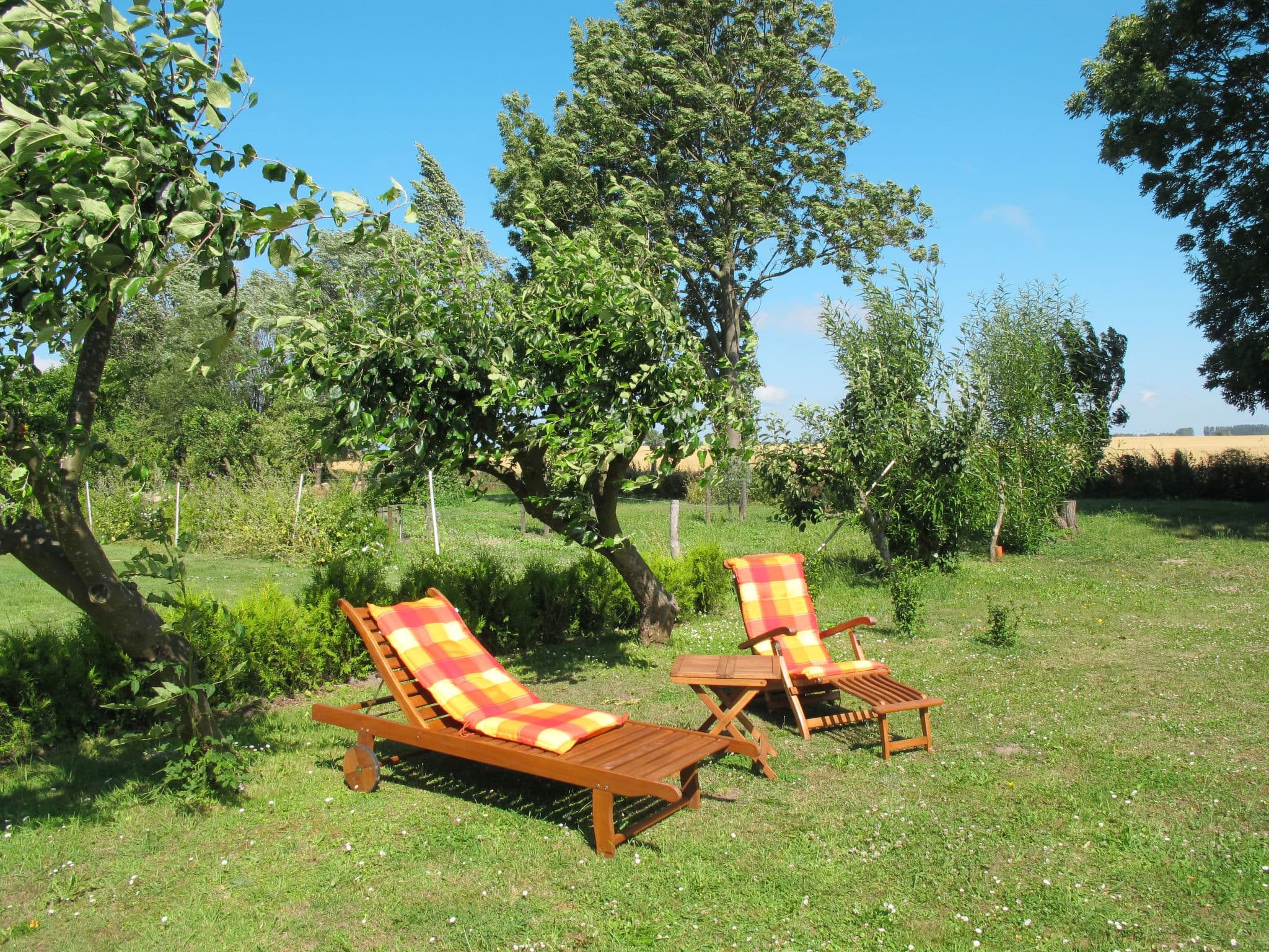 Outdoor