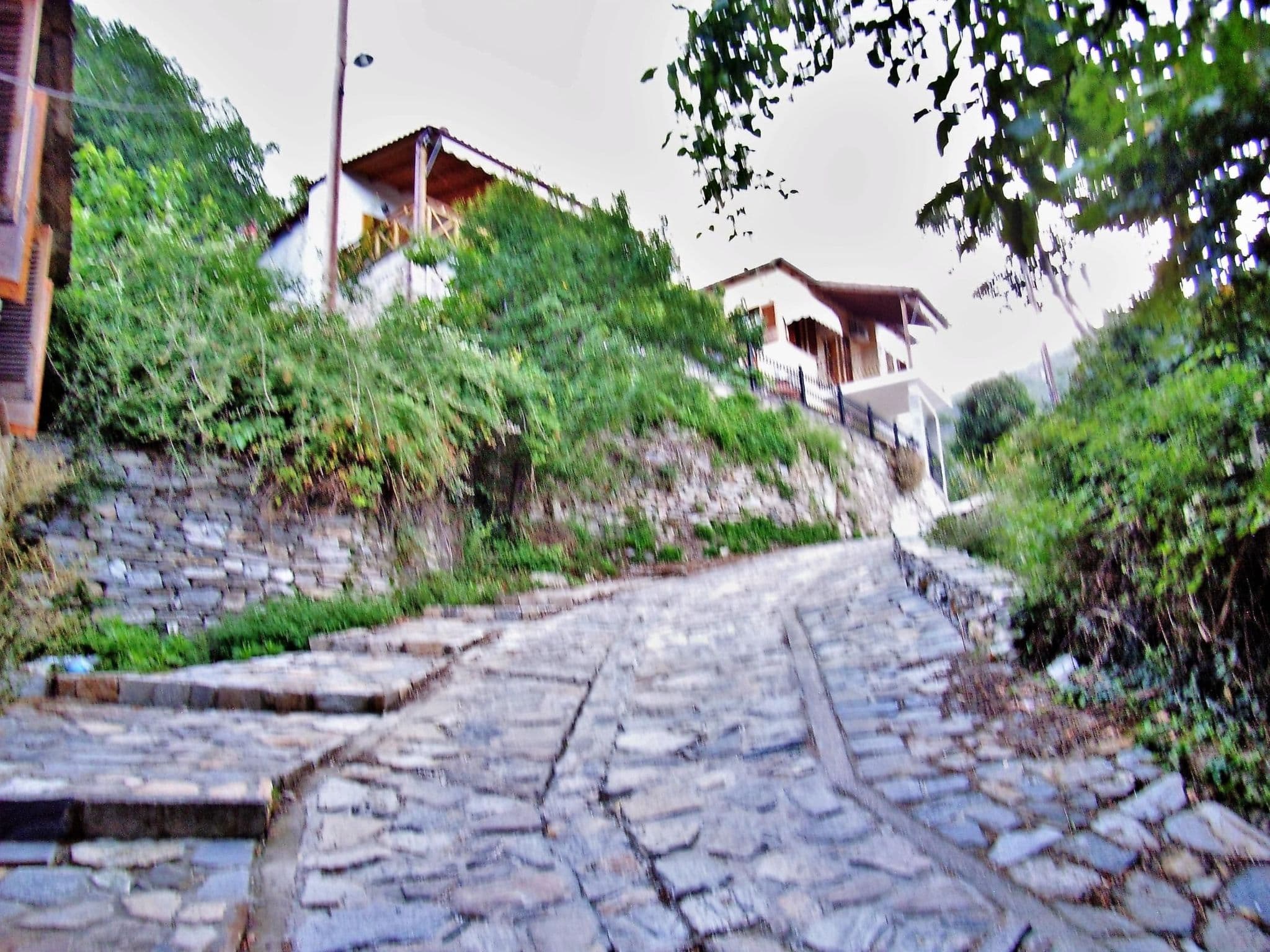 Gallery Image 25
