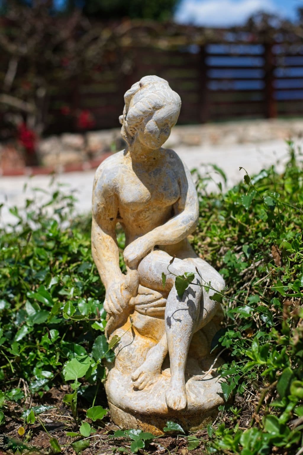 Gallery Image 41