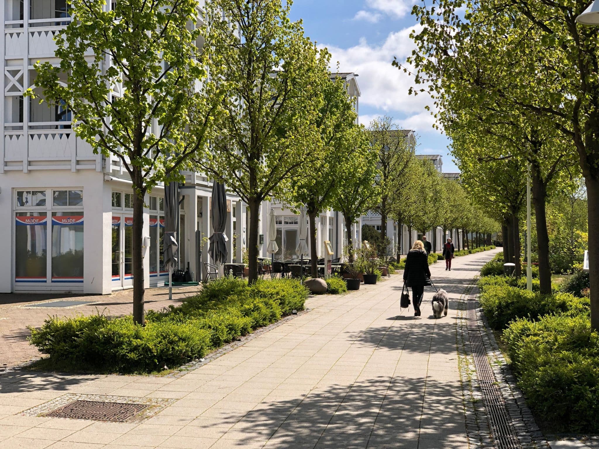 Terrace