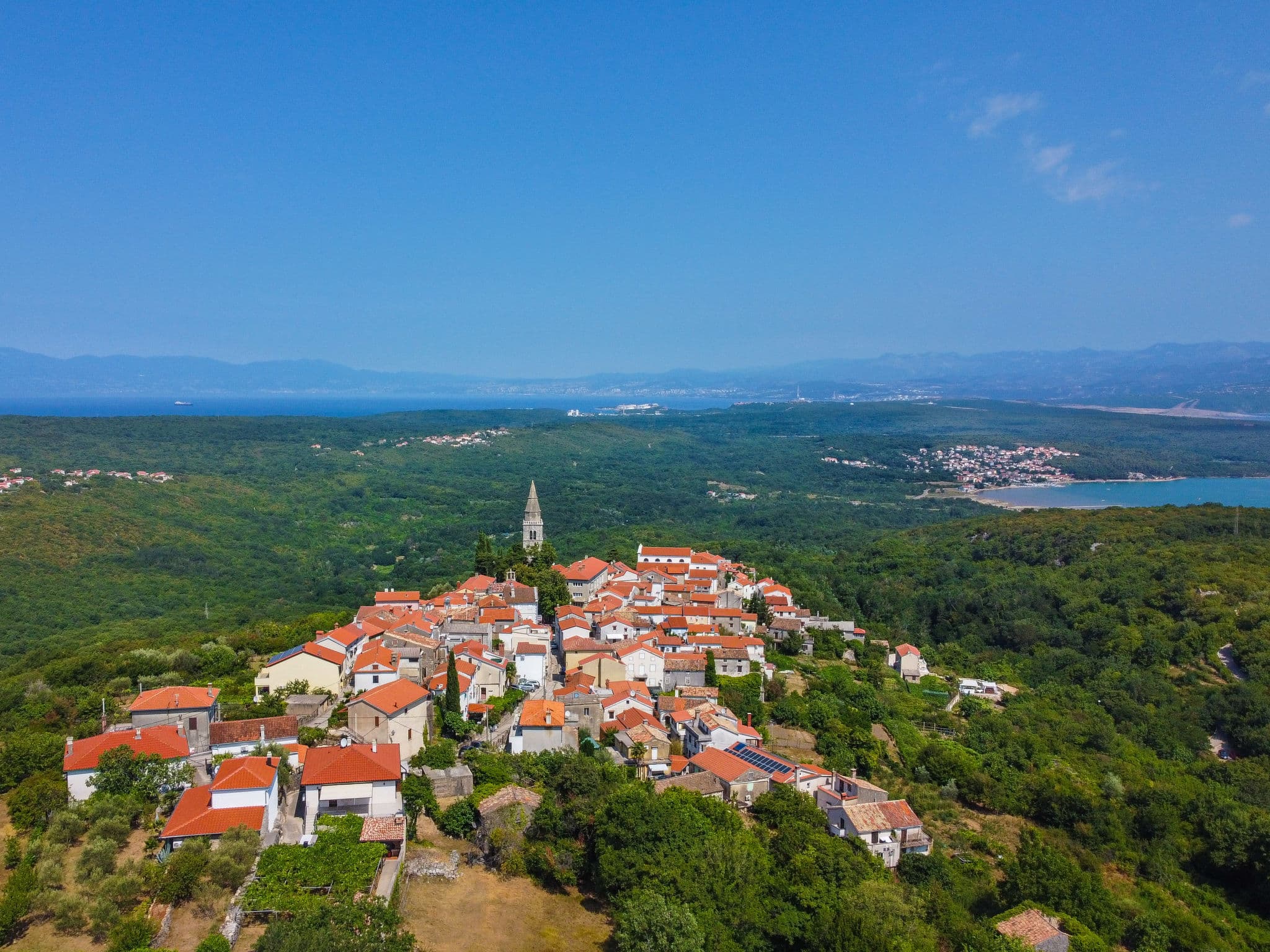View