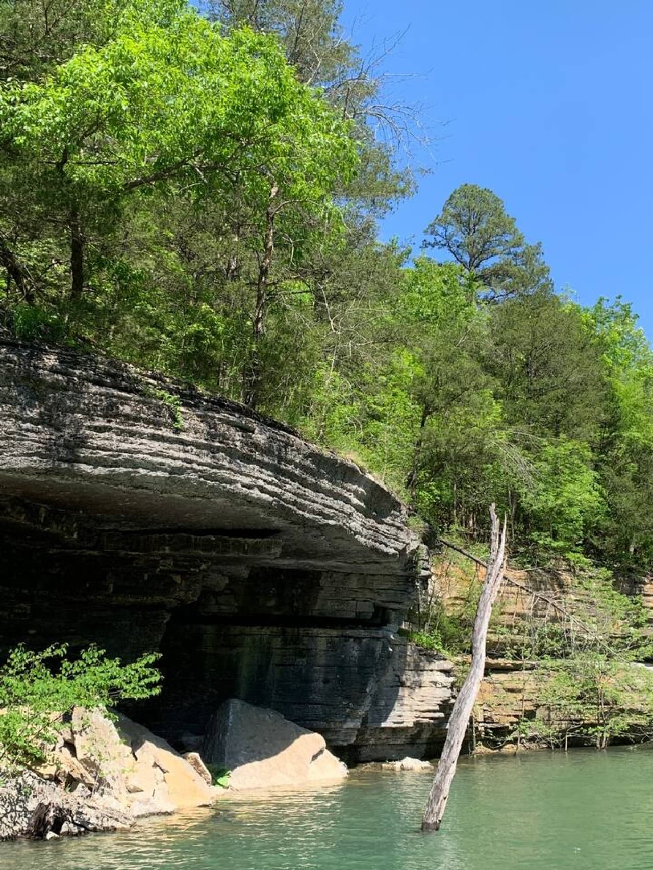 Bluff on Beaver Lake
