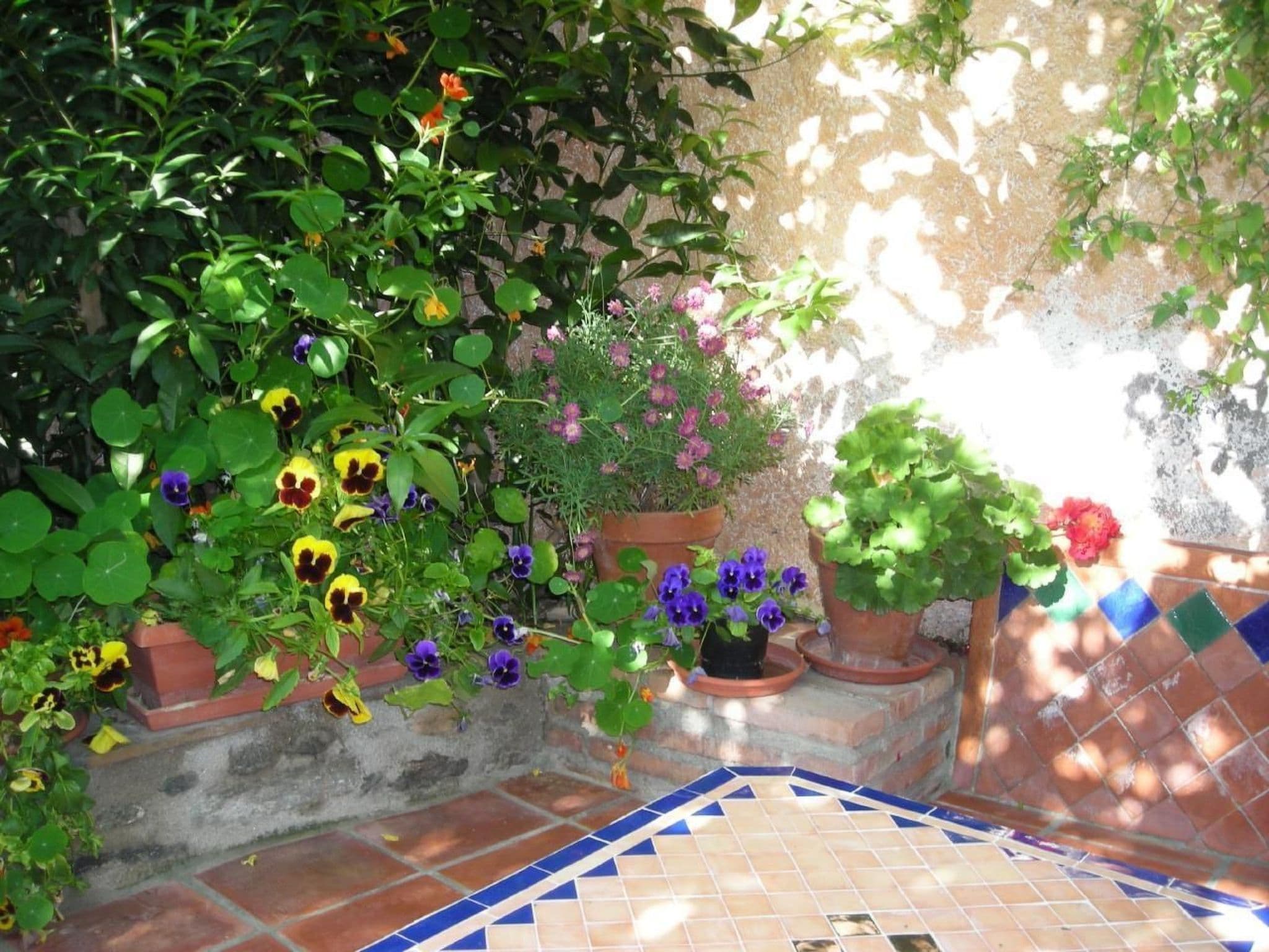 Gallery Image 14