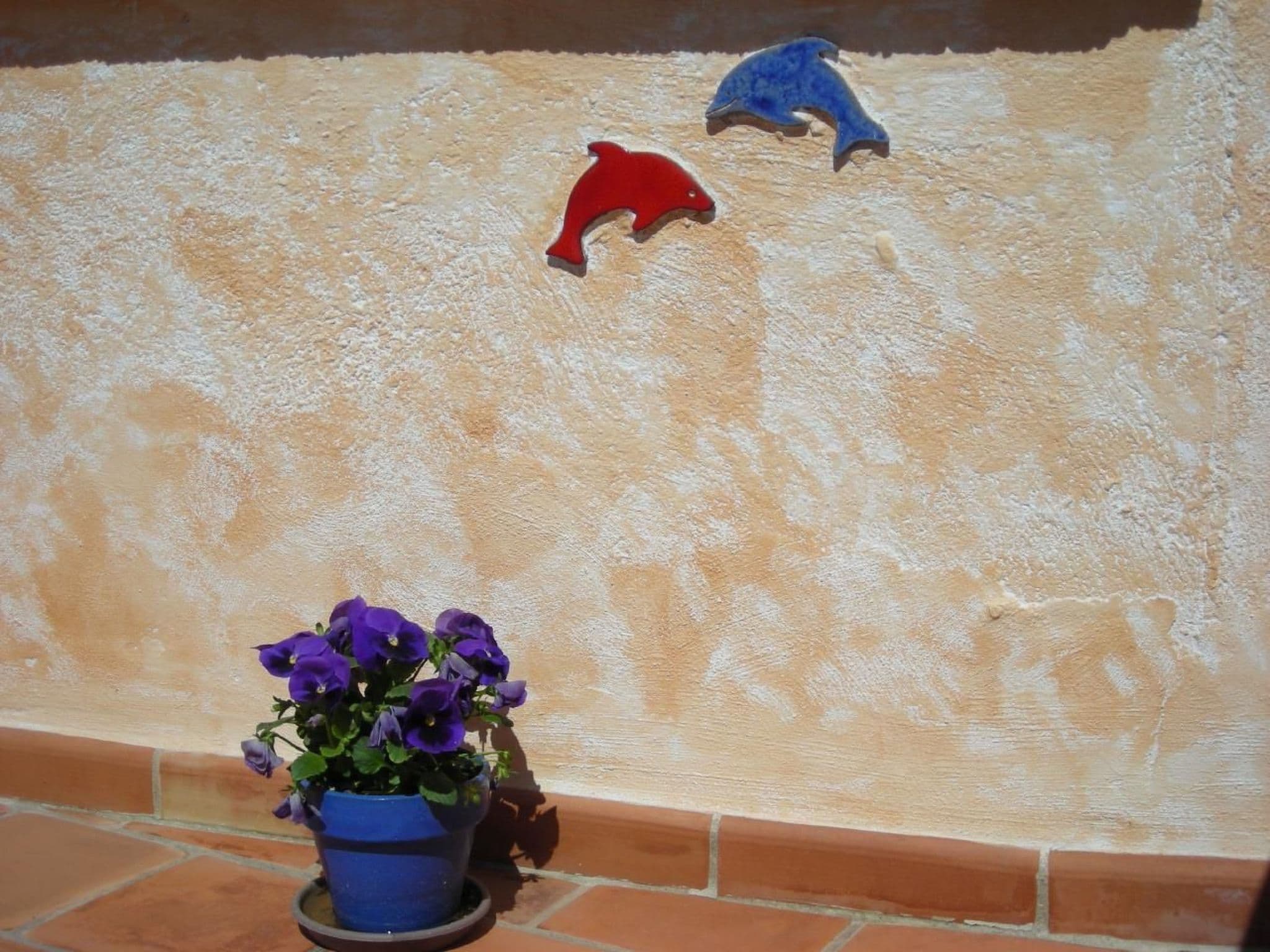 Gallery Image 22