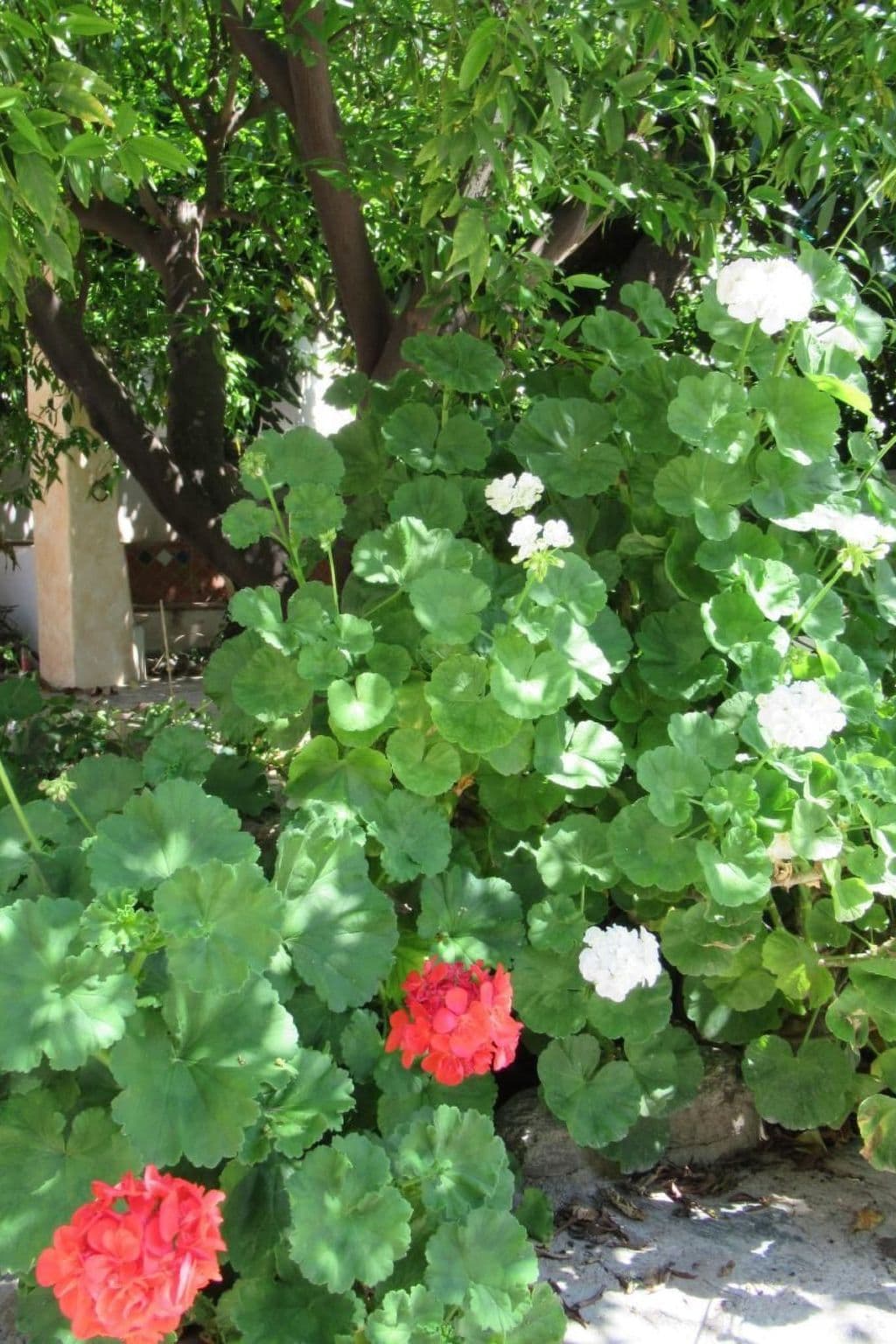 Gallery Image 29