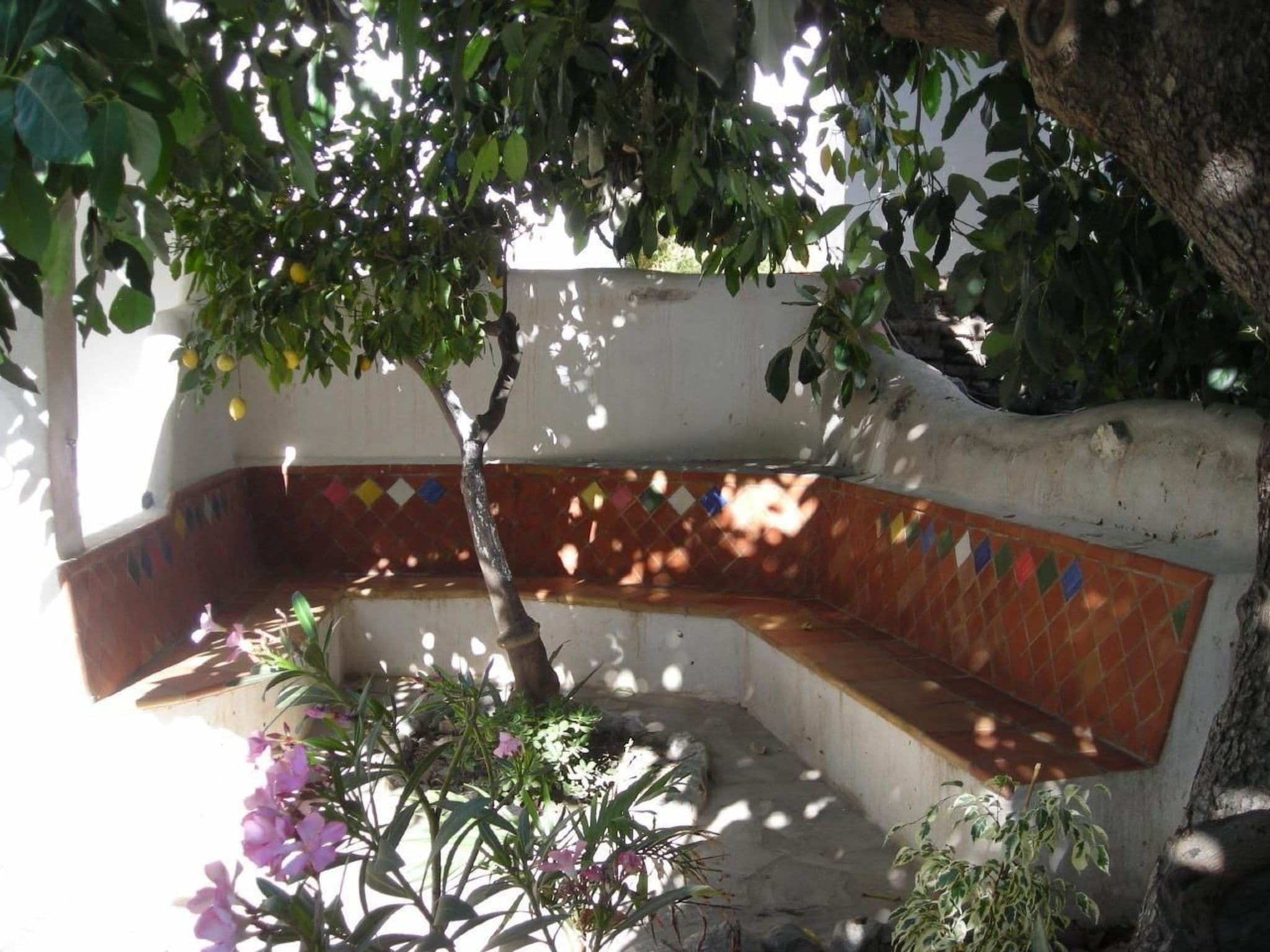 Gallery Image 31