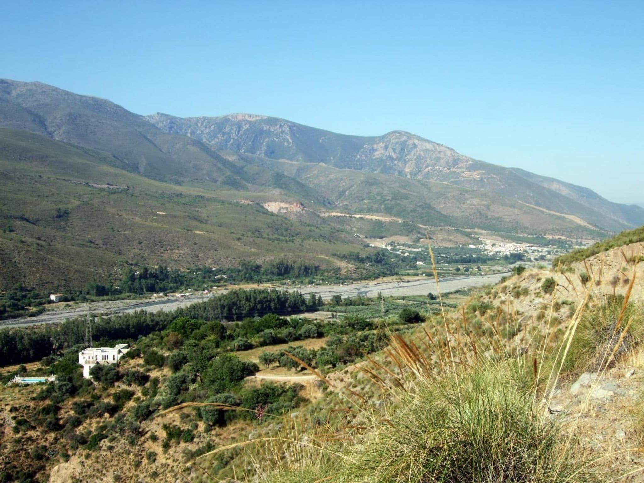 View