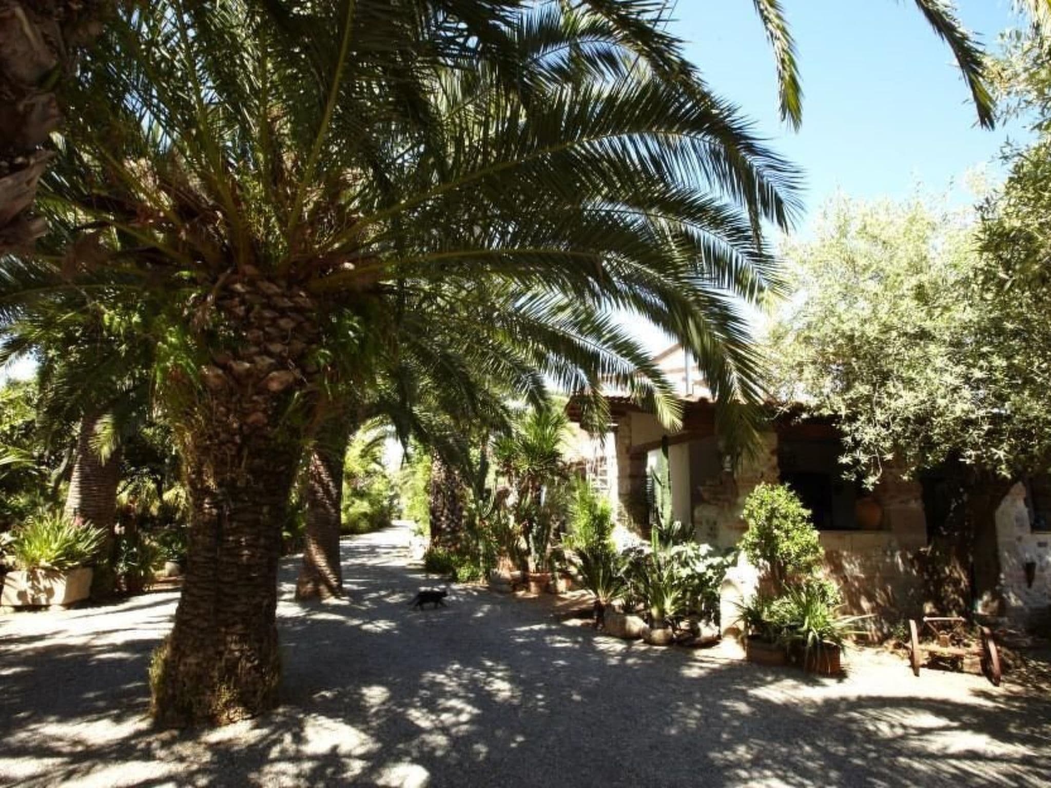 Gallery Image 38