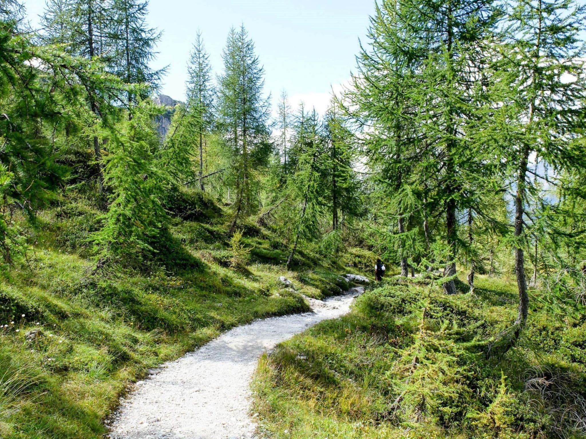 Place
