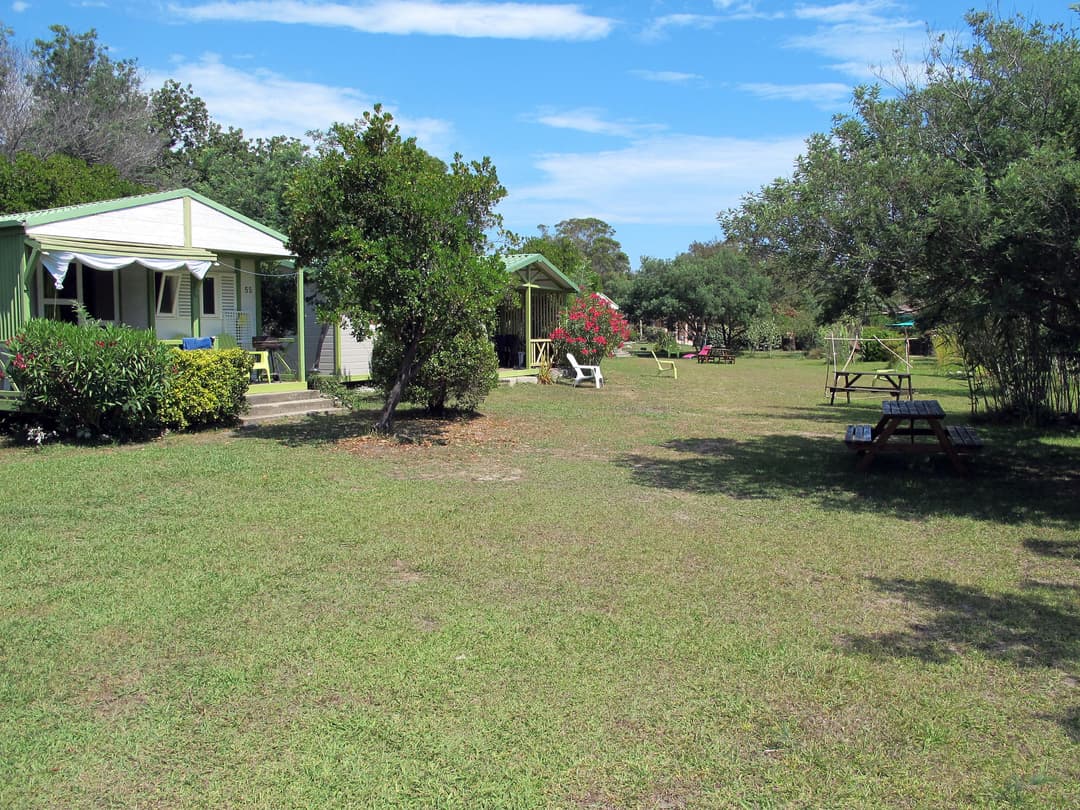 Large Image