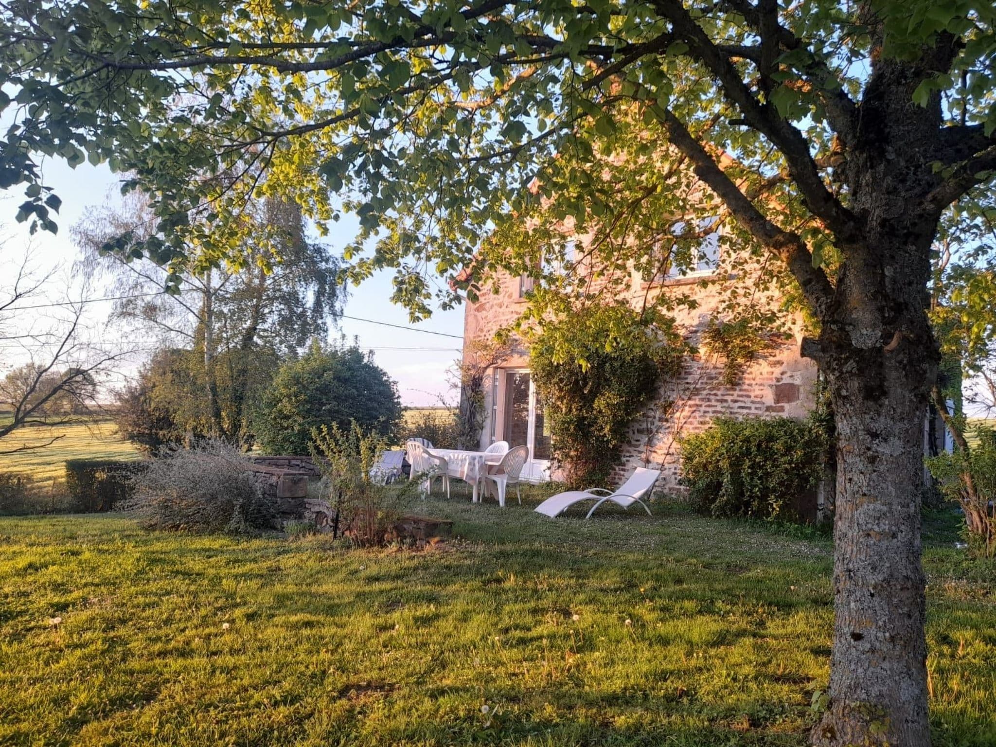 Gallery Image 7