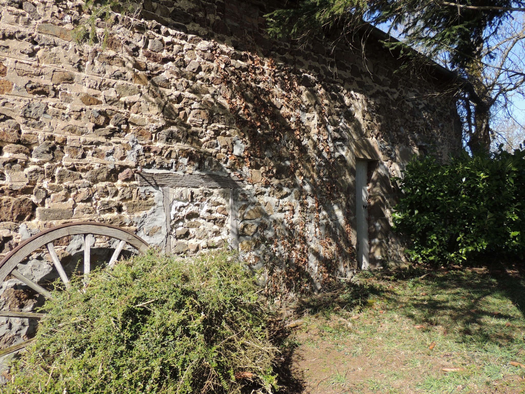 Gallery Image 10