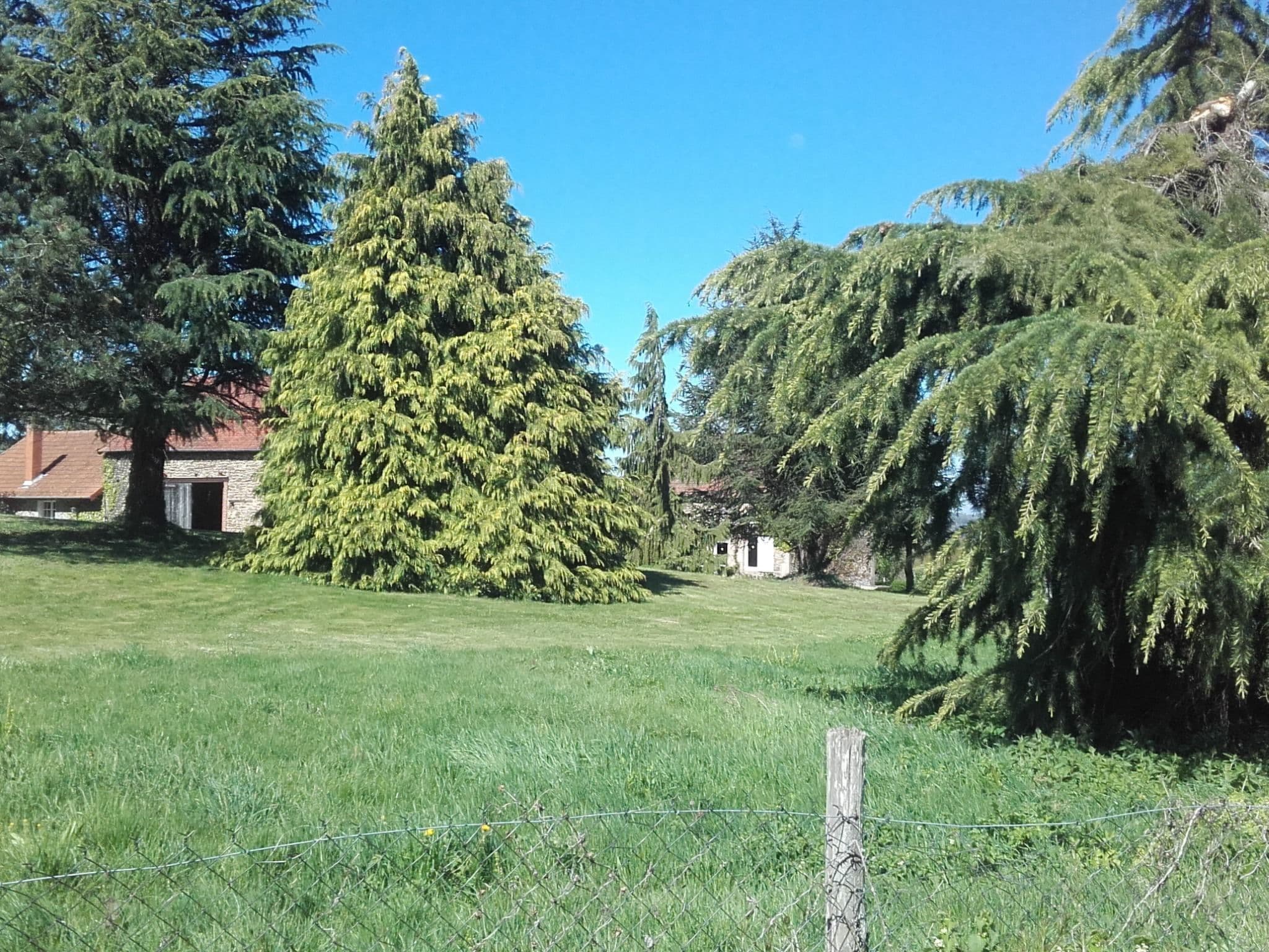 Gallery Image 13