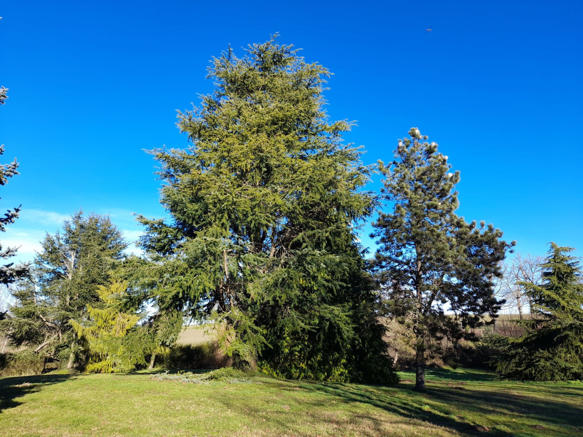 Gallery Image 14