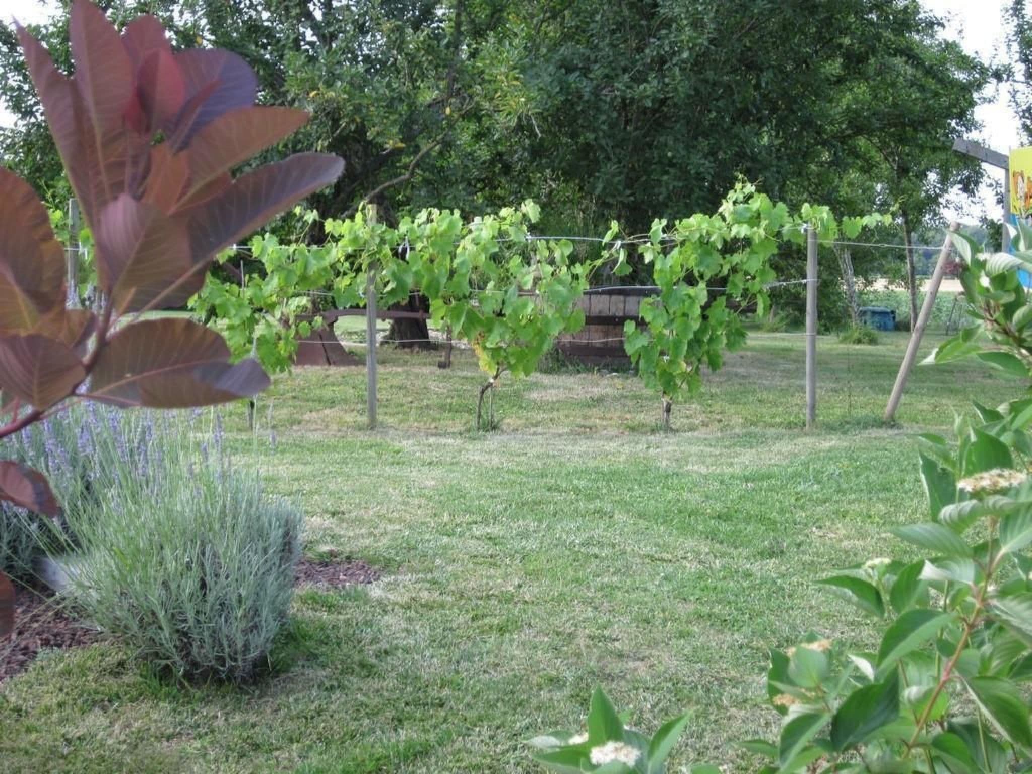 Gallery Image 17