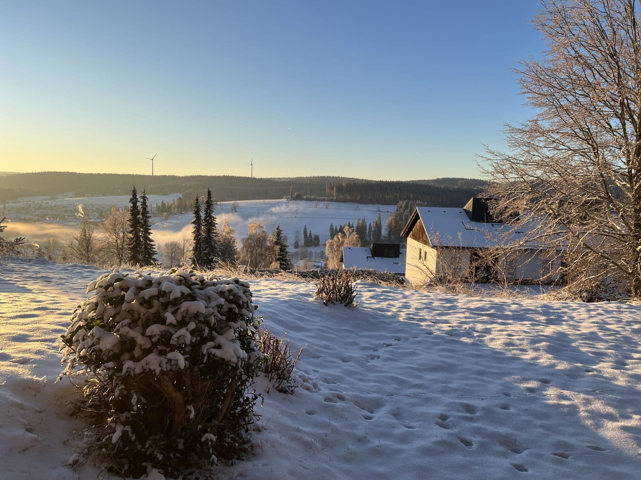 View