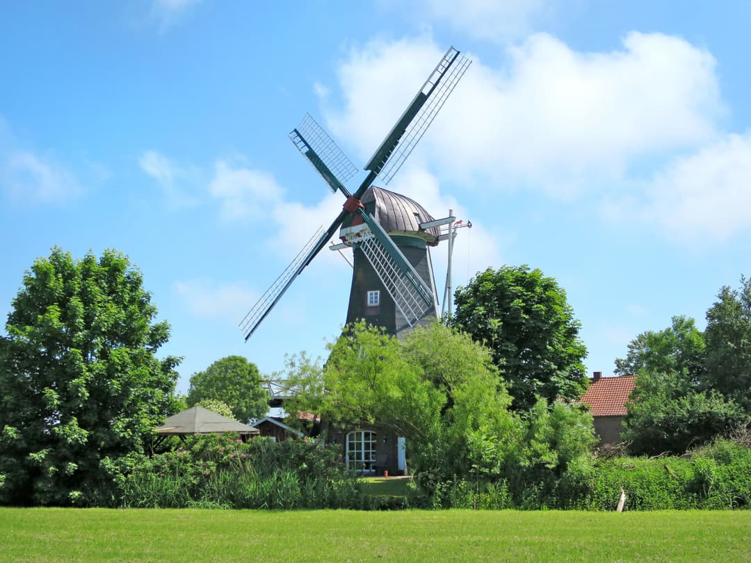 Large Image