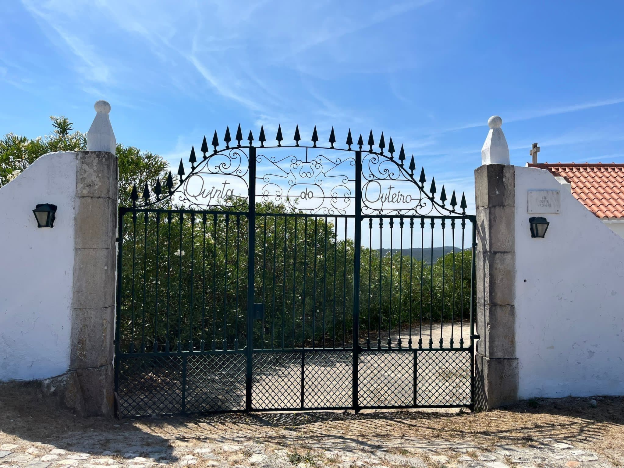 Gallery Image 63