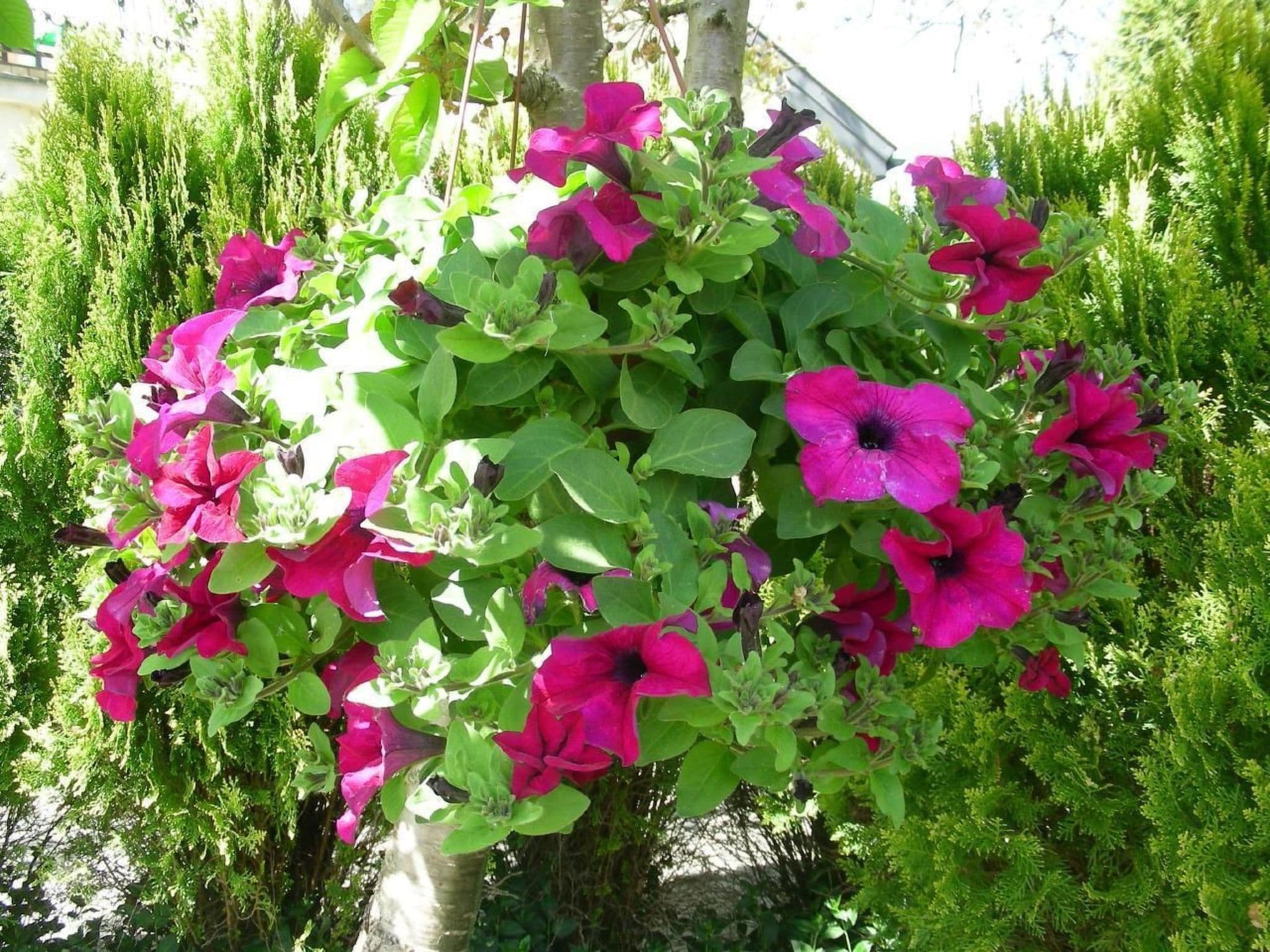Gallery Image 22