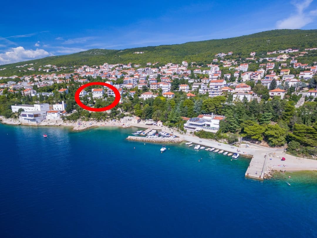 Large Image