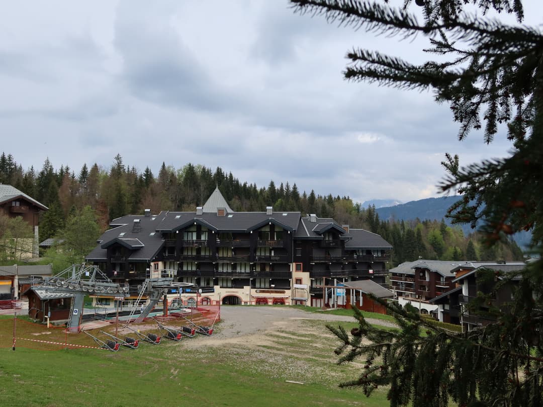 Large Image