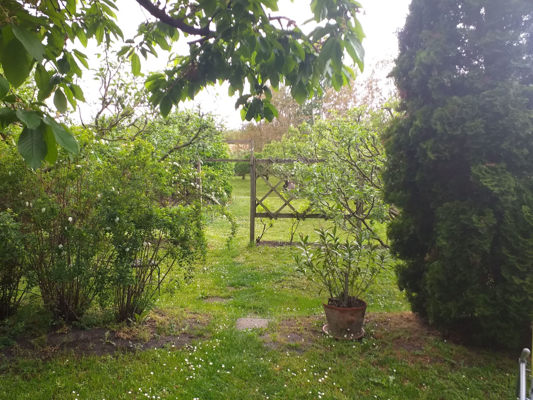 Gallery Image 23