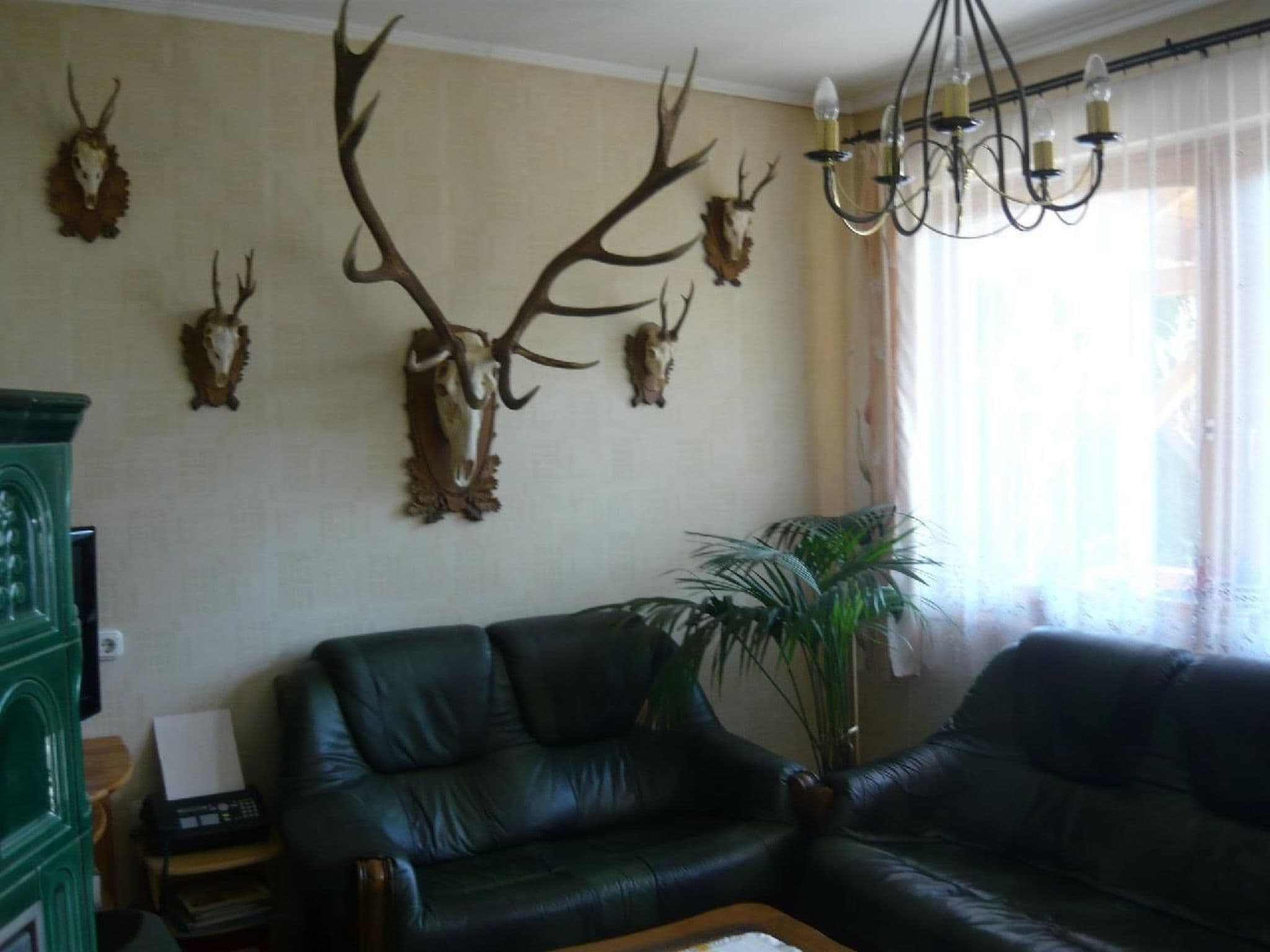 Gallery Image 20