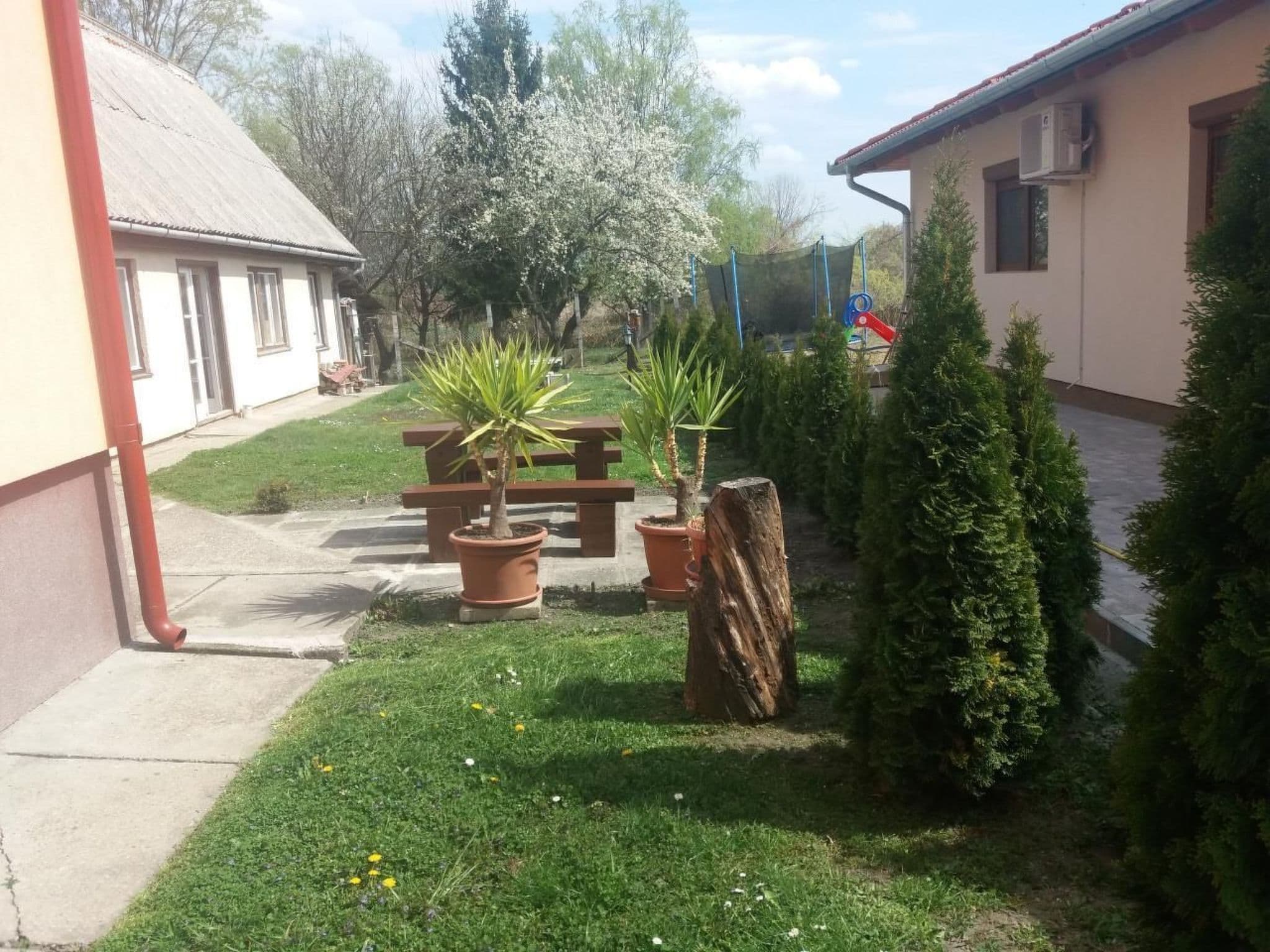 Gallery Image 17