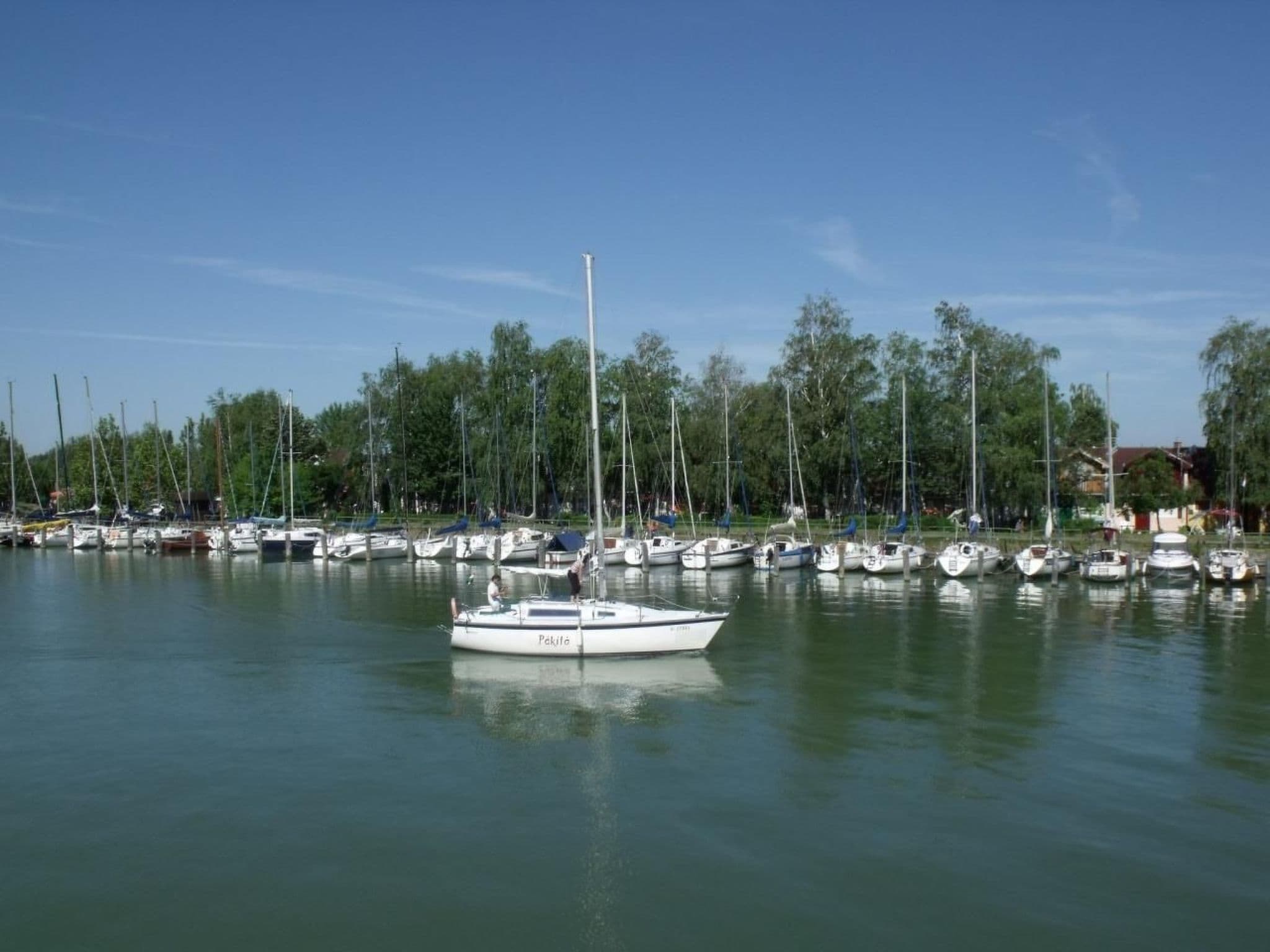 Gallery Image 28