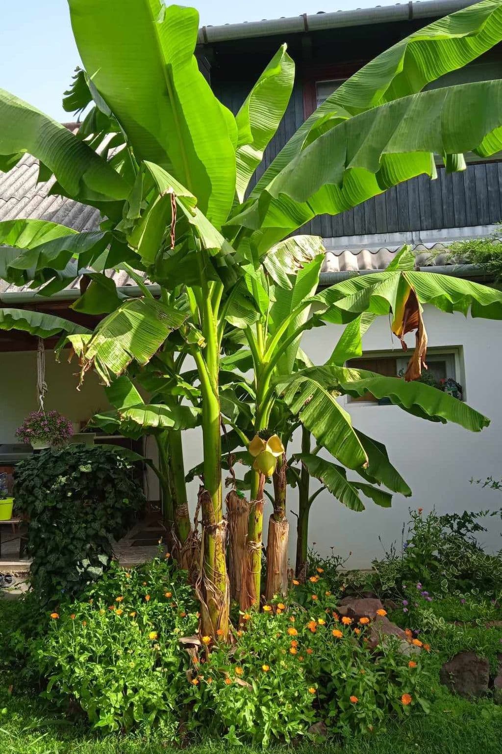 Gallery Image 30