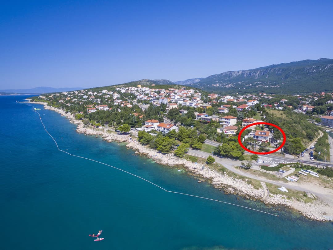 Large Image