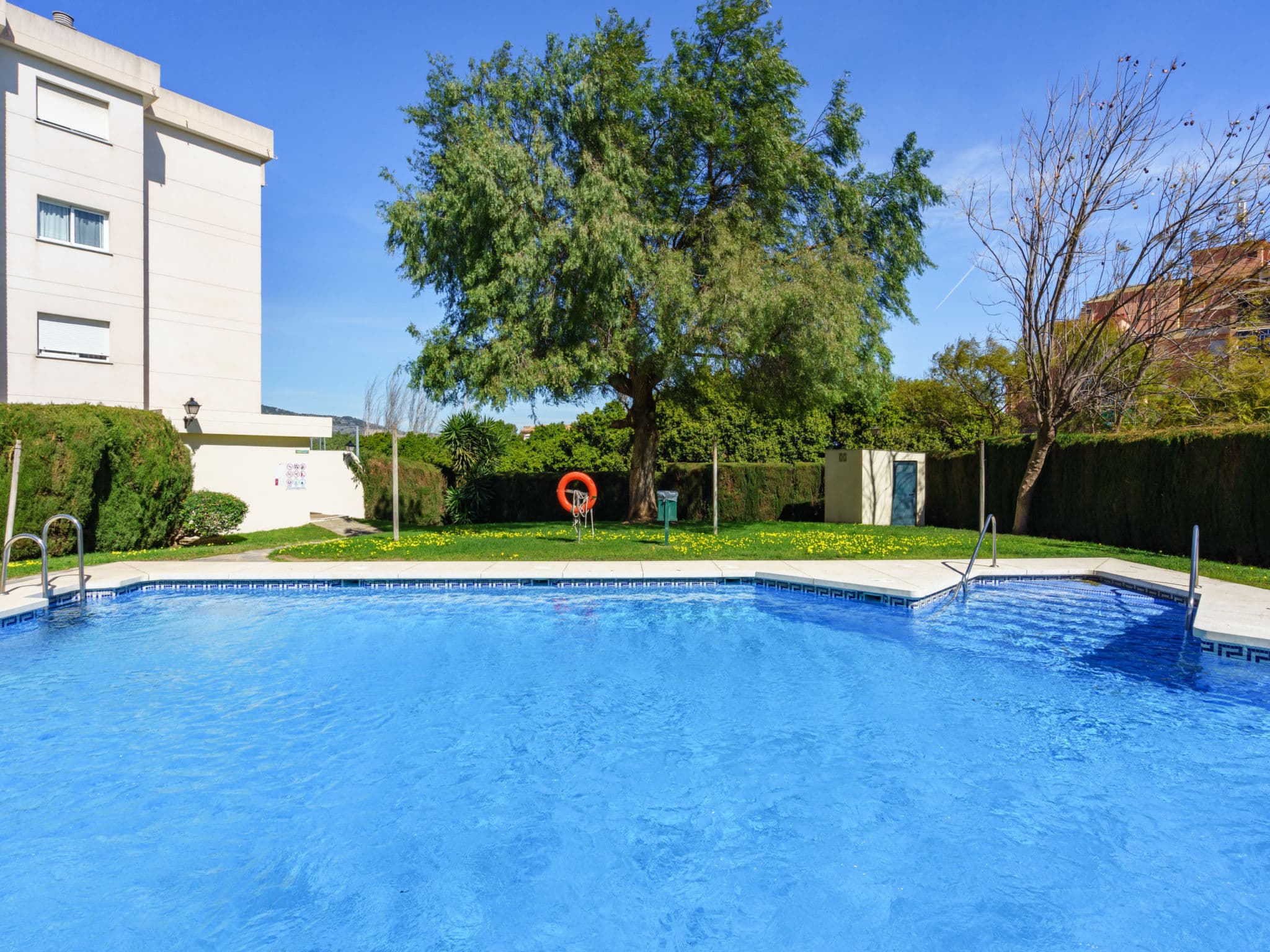 Pool Outdoor