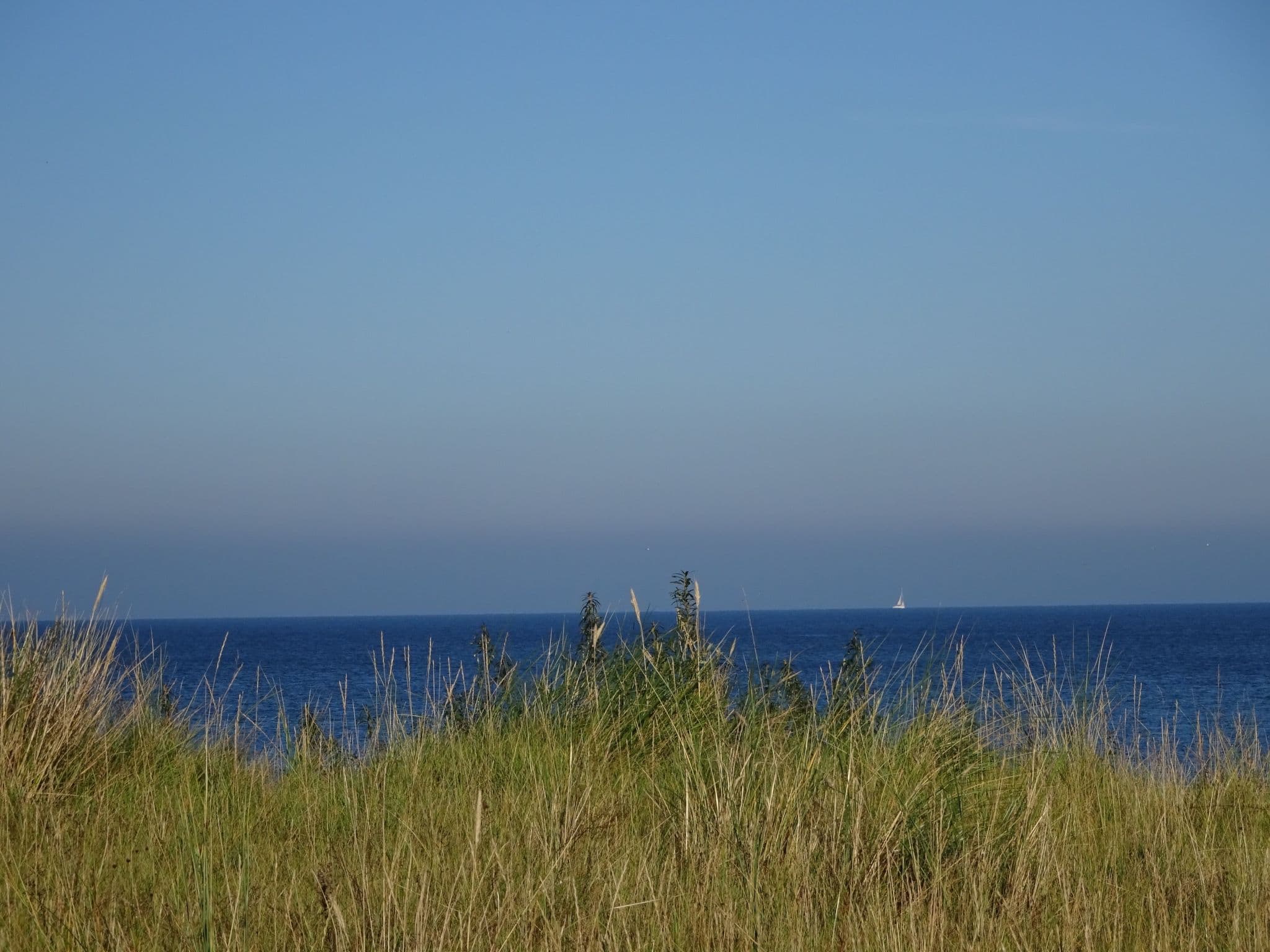 Gallery Image 30