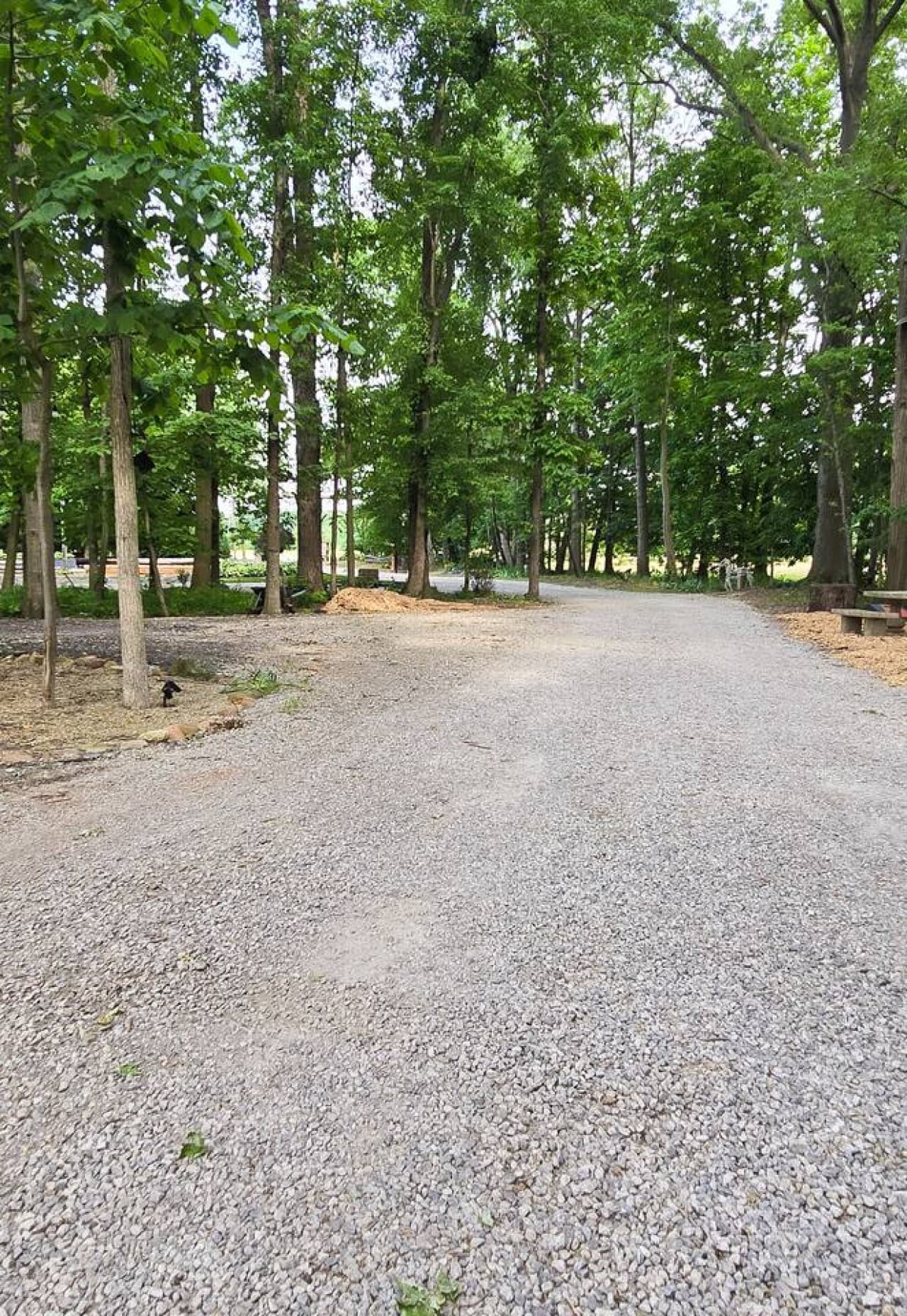 Gallery Image 19