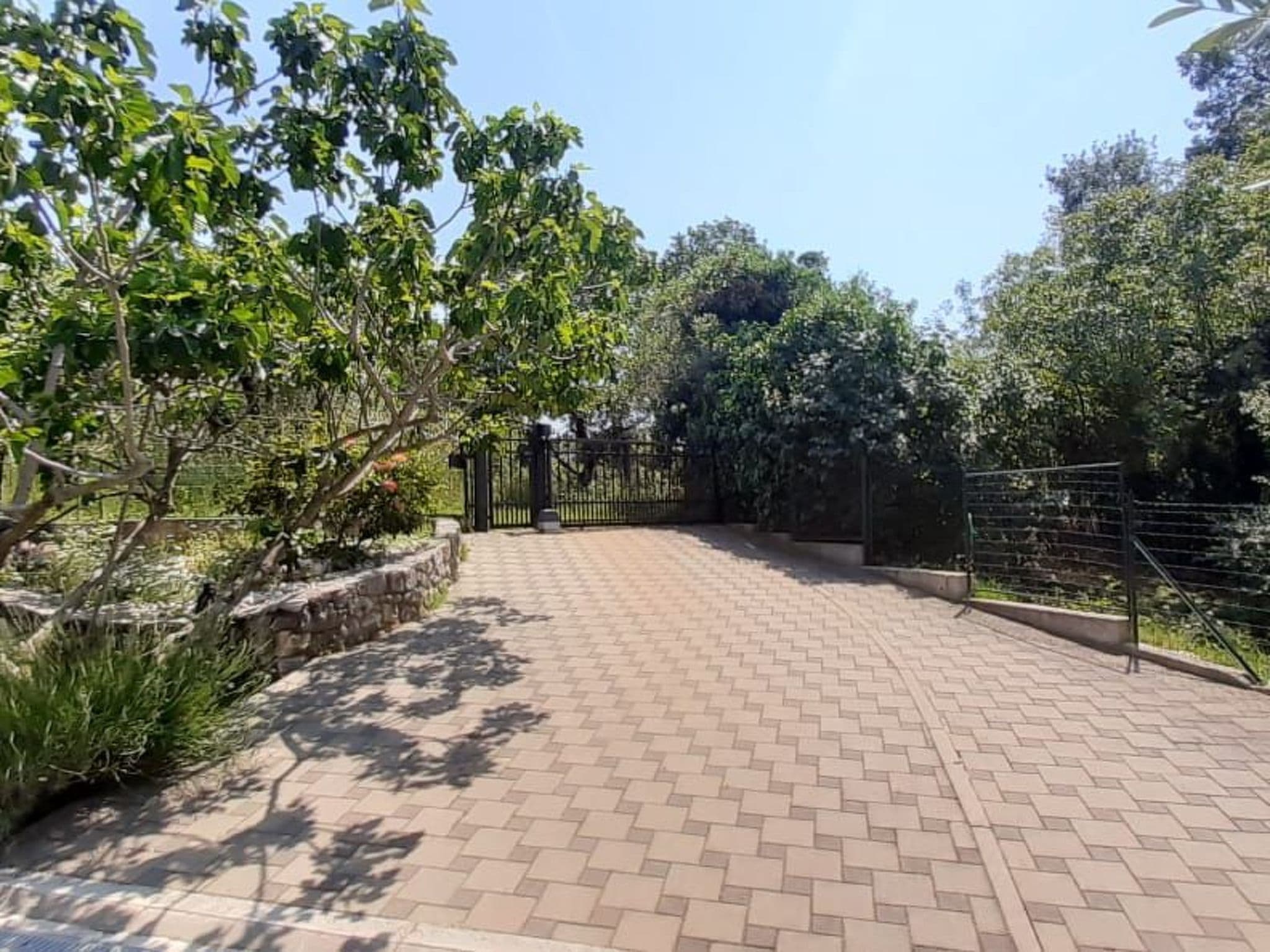 Gallery Image 5