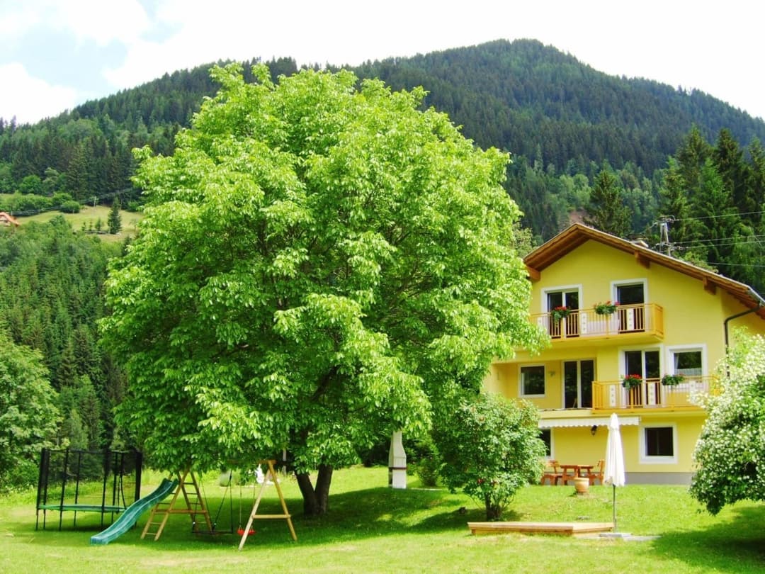 Large Image