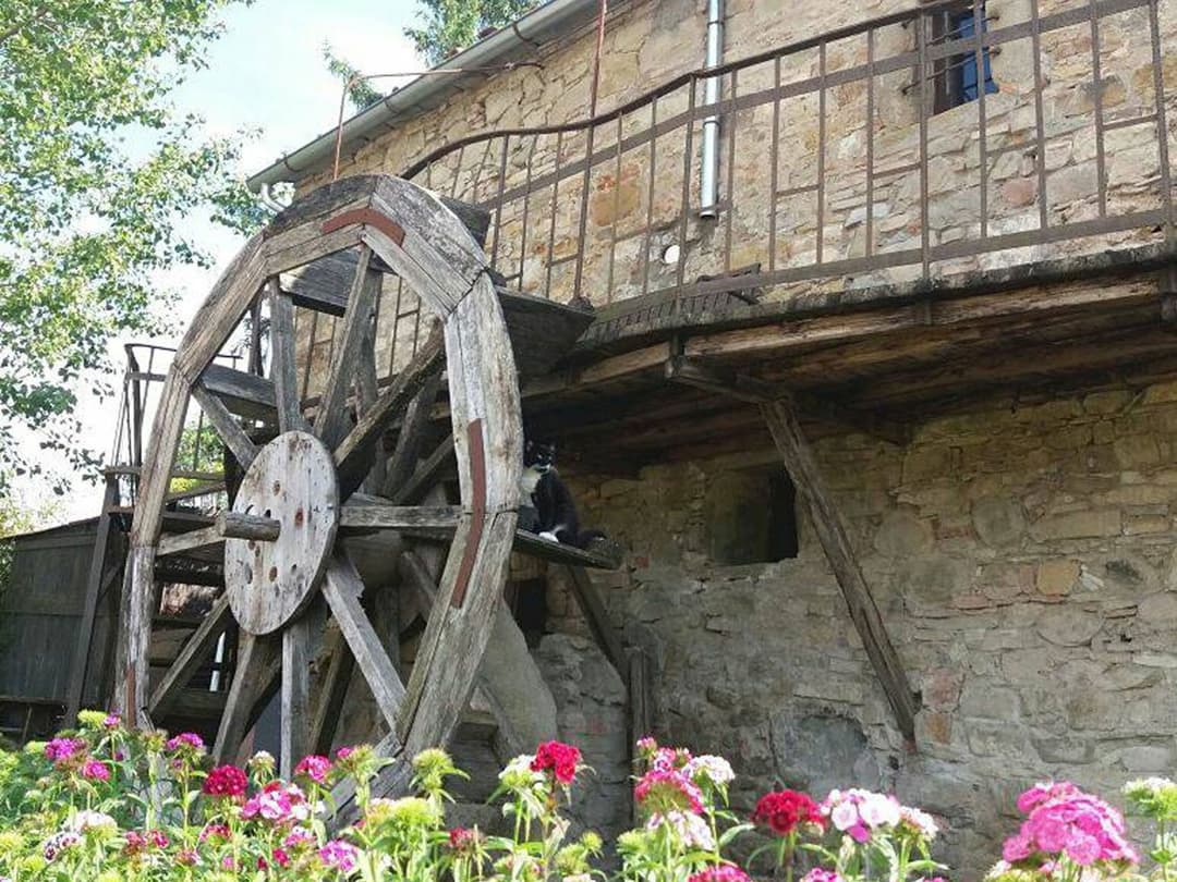 Large Image