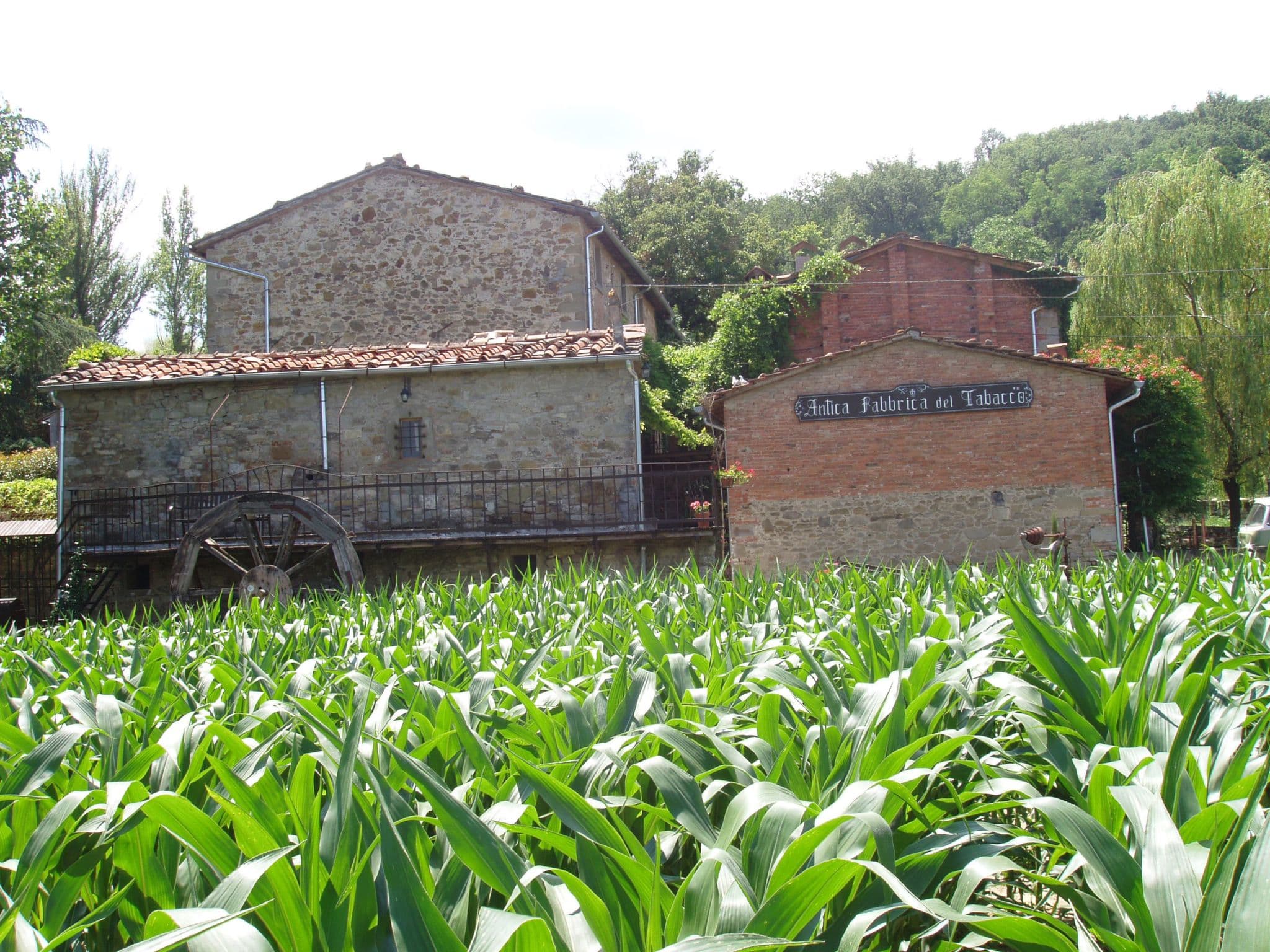 Gallery Image 11