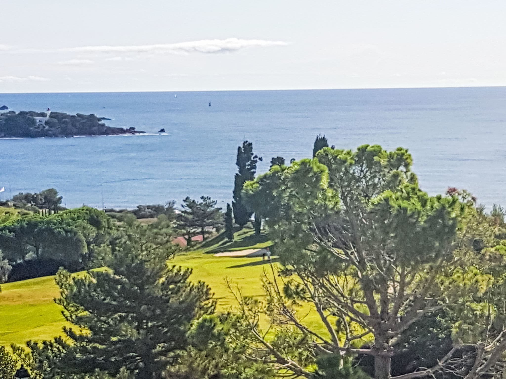 View