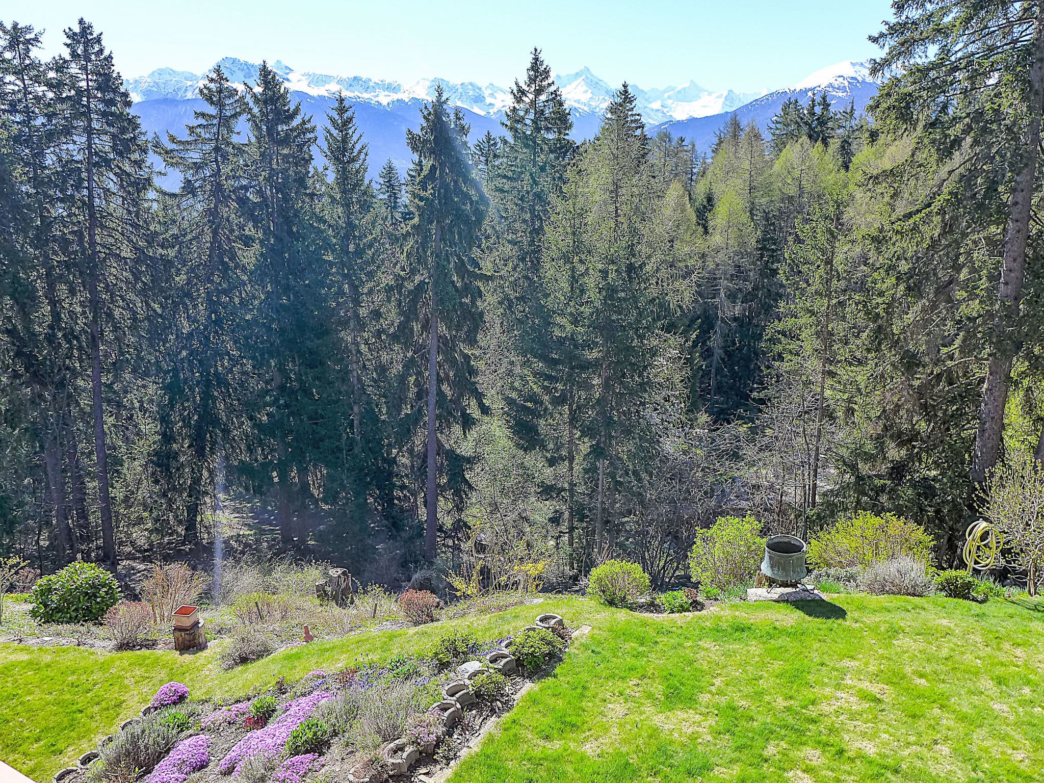 View